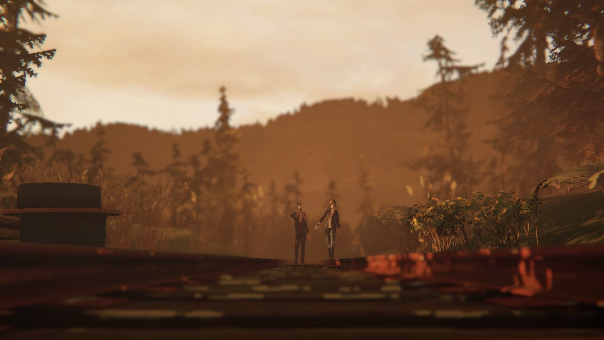 Life is Strange: Before The Storm Wallpapers