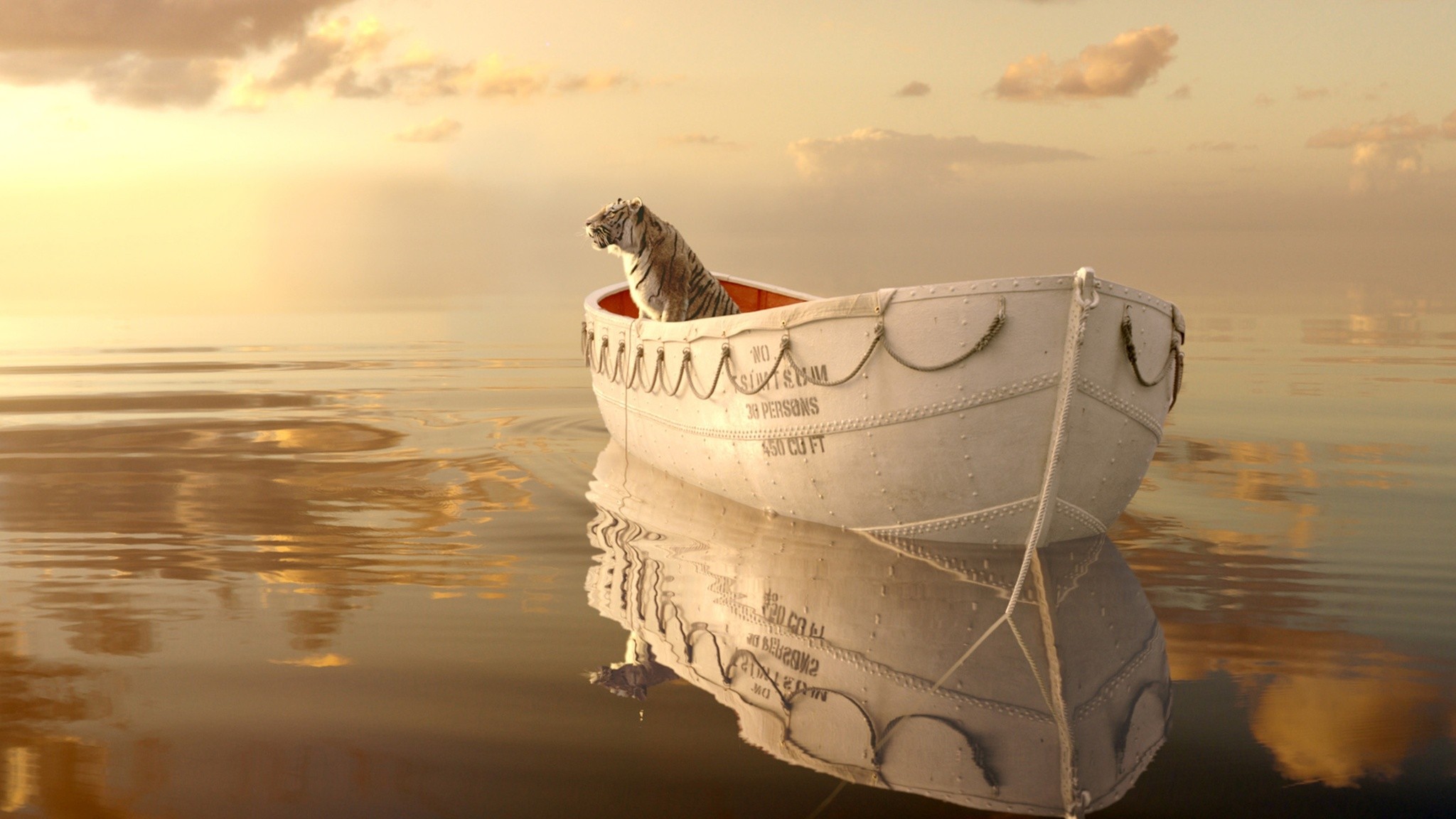 Life Of Pi Wallpapers