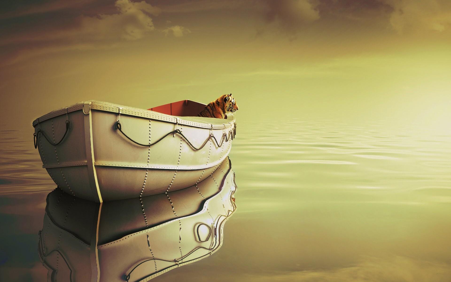 Life Of Pi Wallpapers