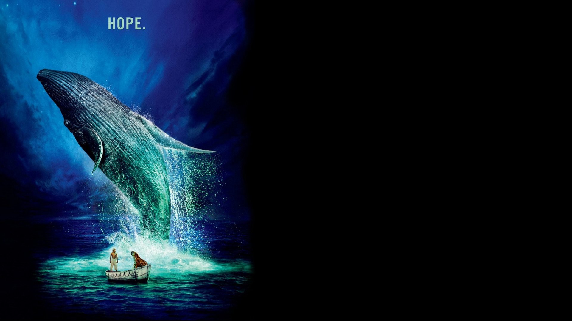 Life Of Pi Wallpapers