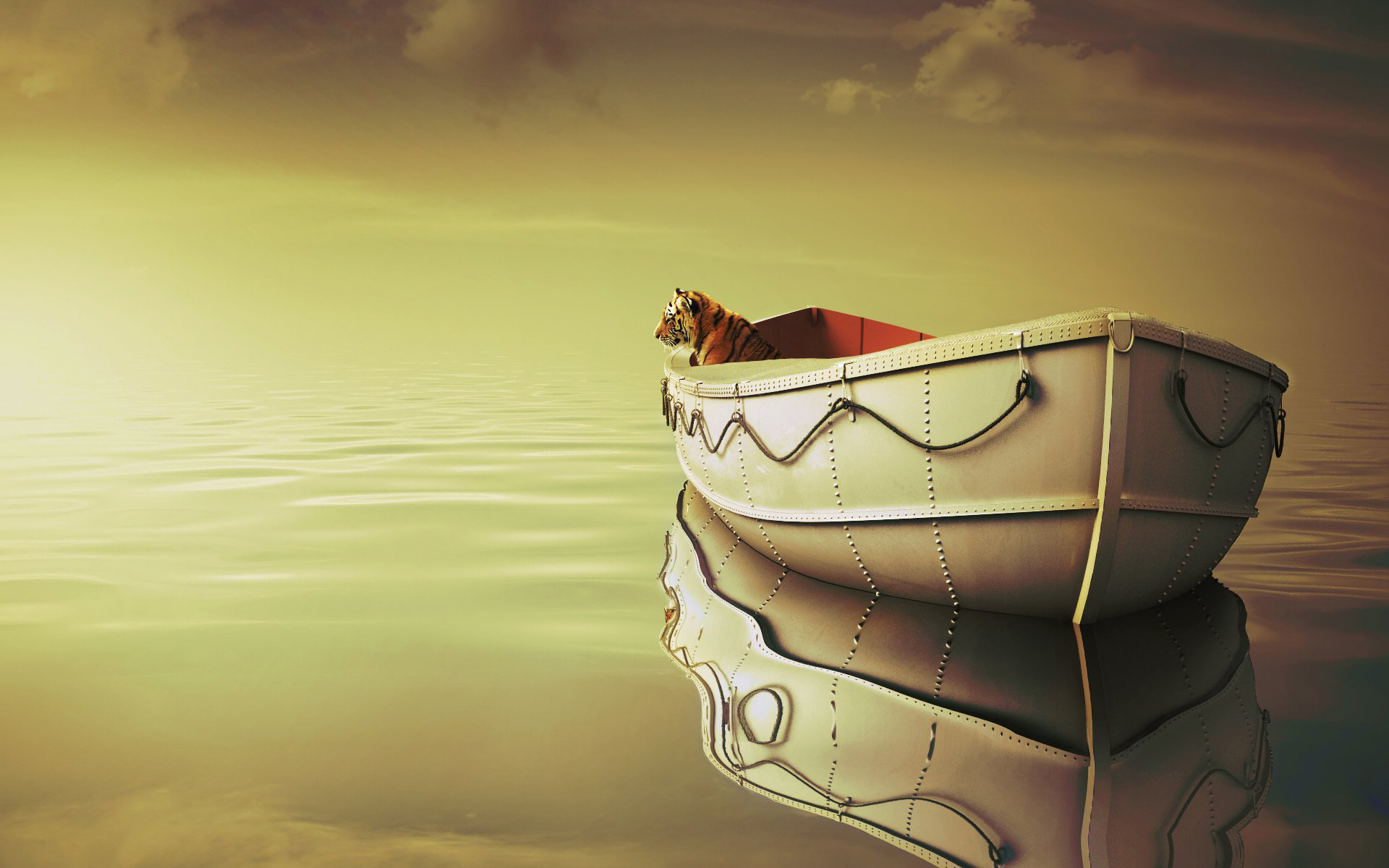 Life Of Pi Wallpapers