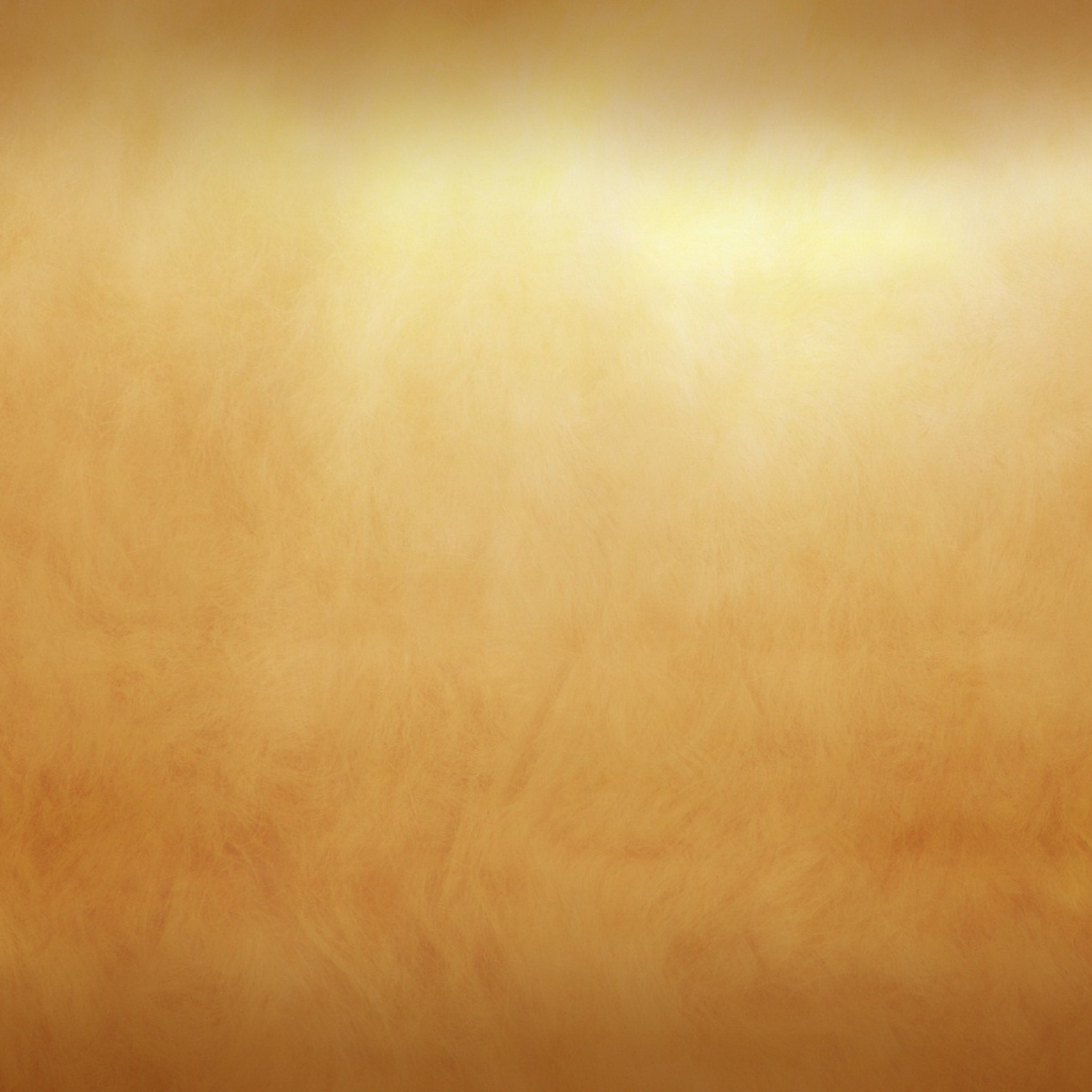 Light Brown Plain Background