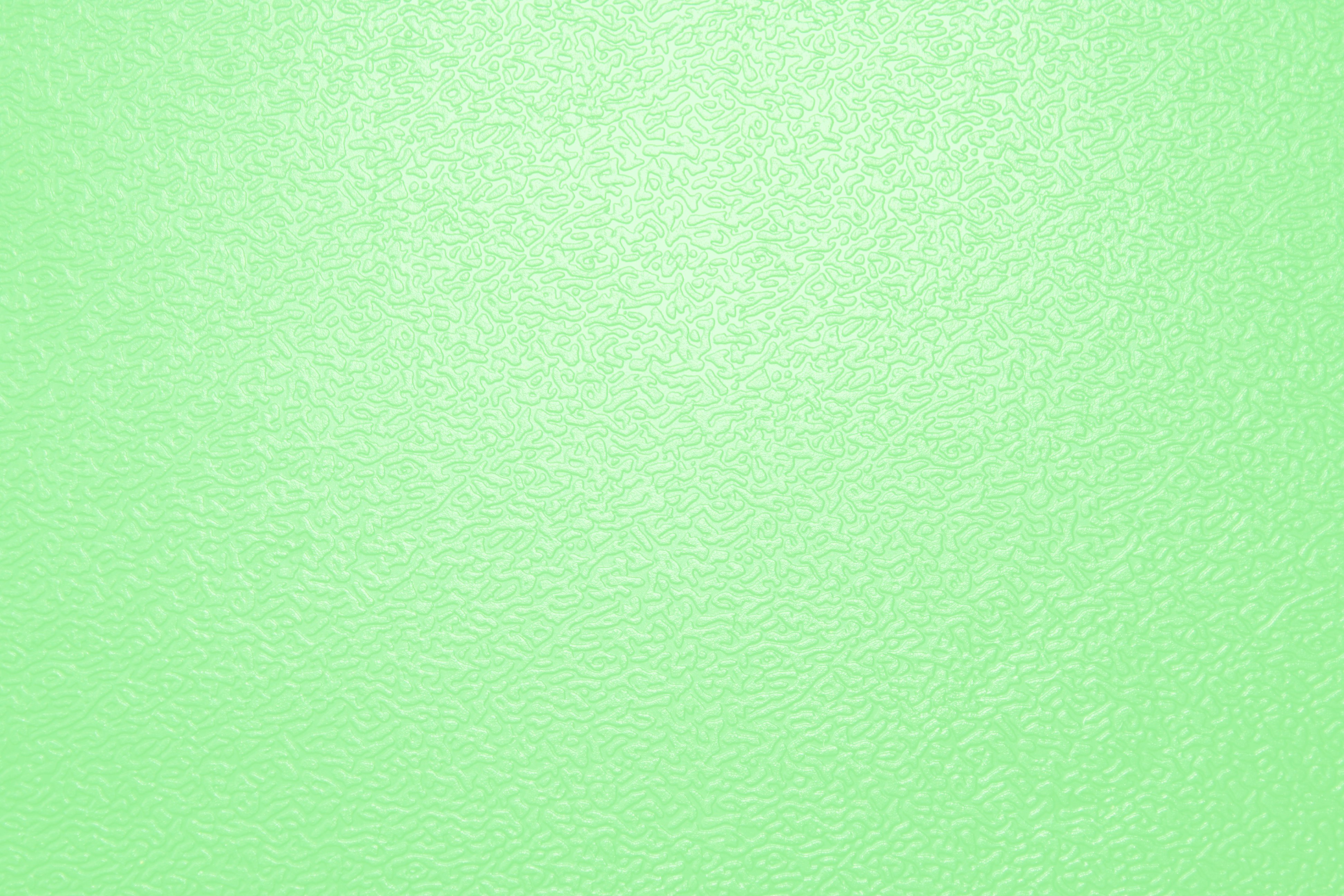 Light Green Background