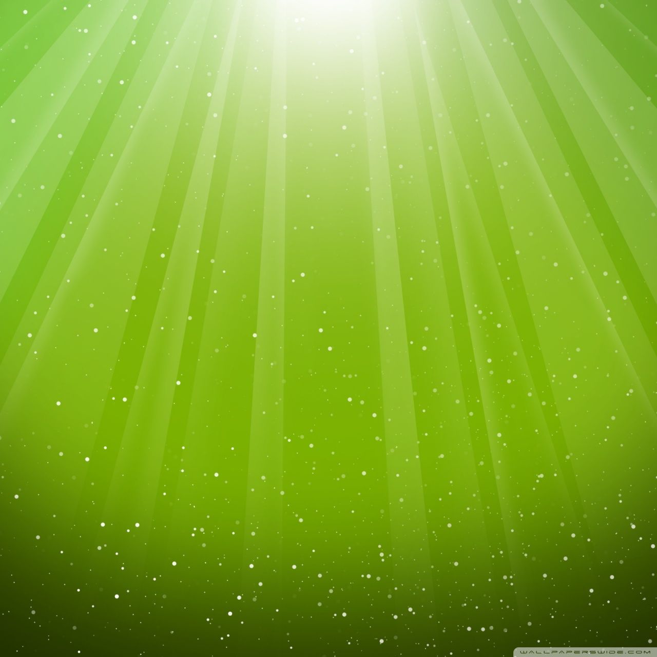 Light Green Patterns Wallpapers