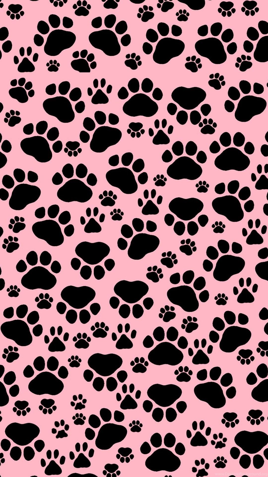 Light Pink And Black Wallpapers