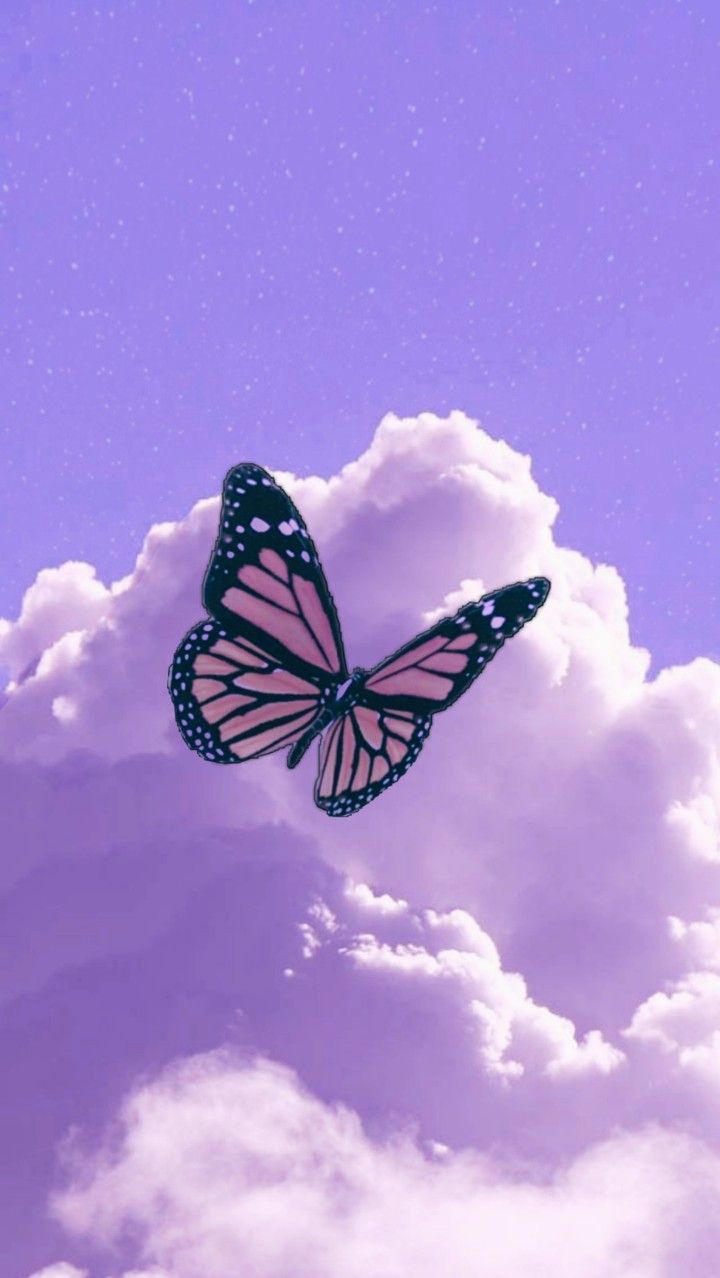 Light Purple Butterfly Wallpapers