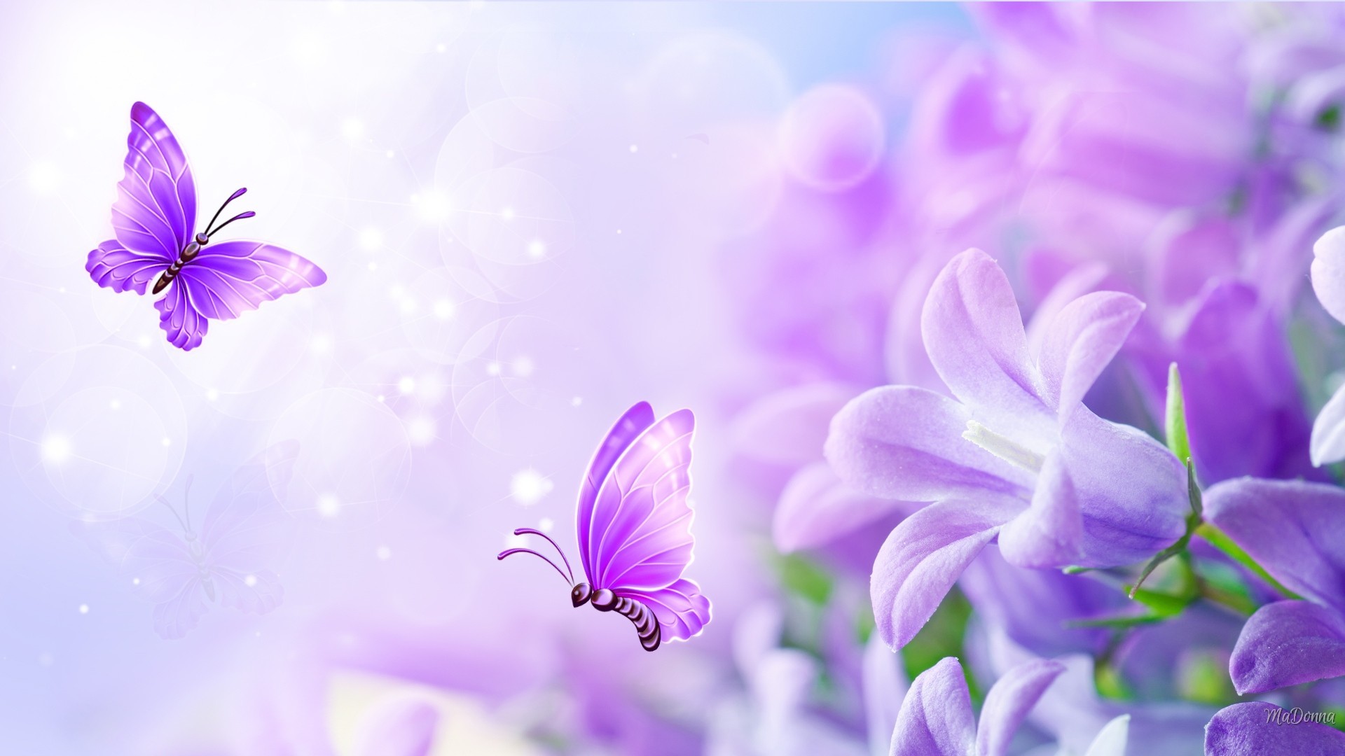 Light Purple Butterfly Wallpapers