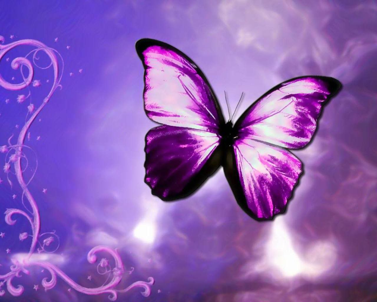 Light Purple Butterfly Wallpapers
