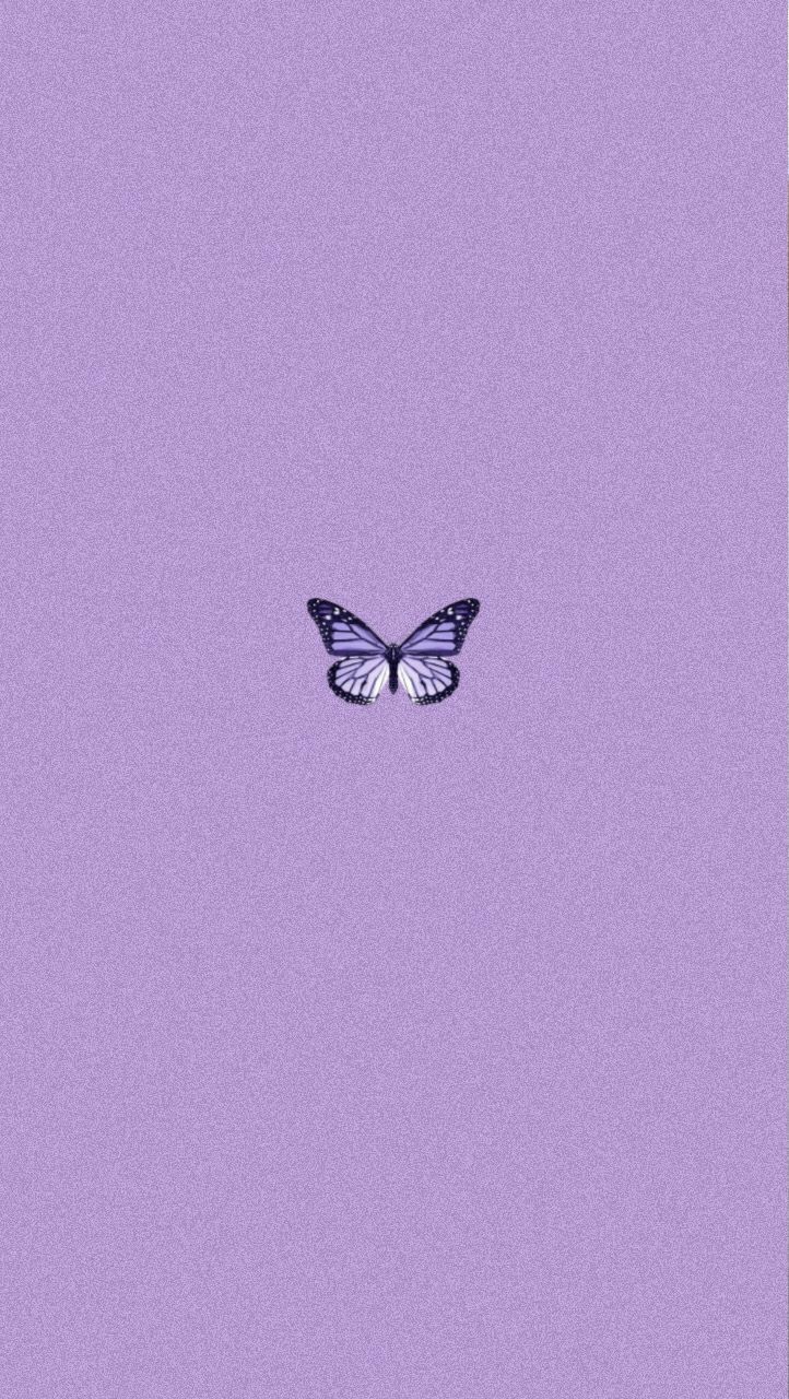 Light Purple Butterfly Wallpapers