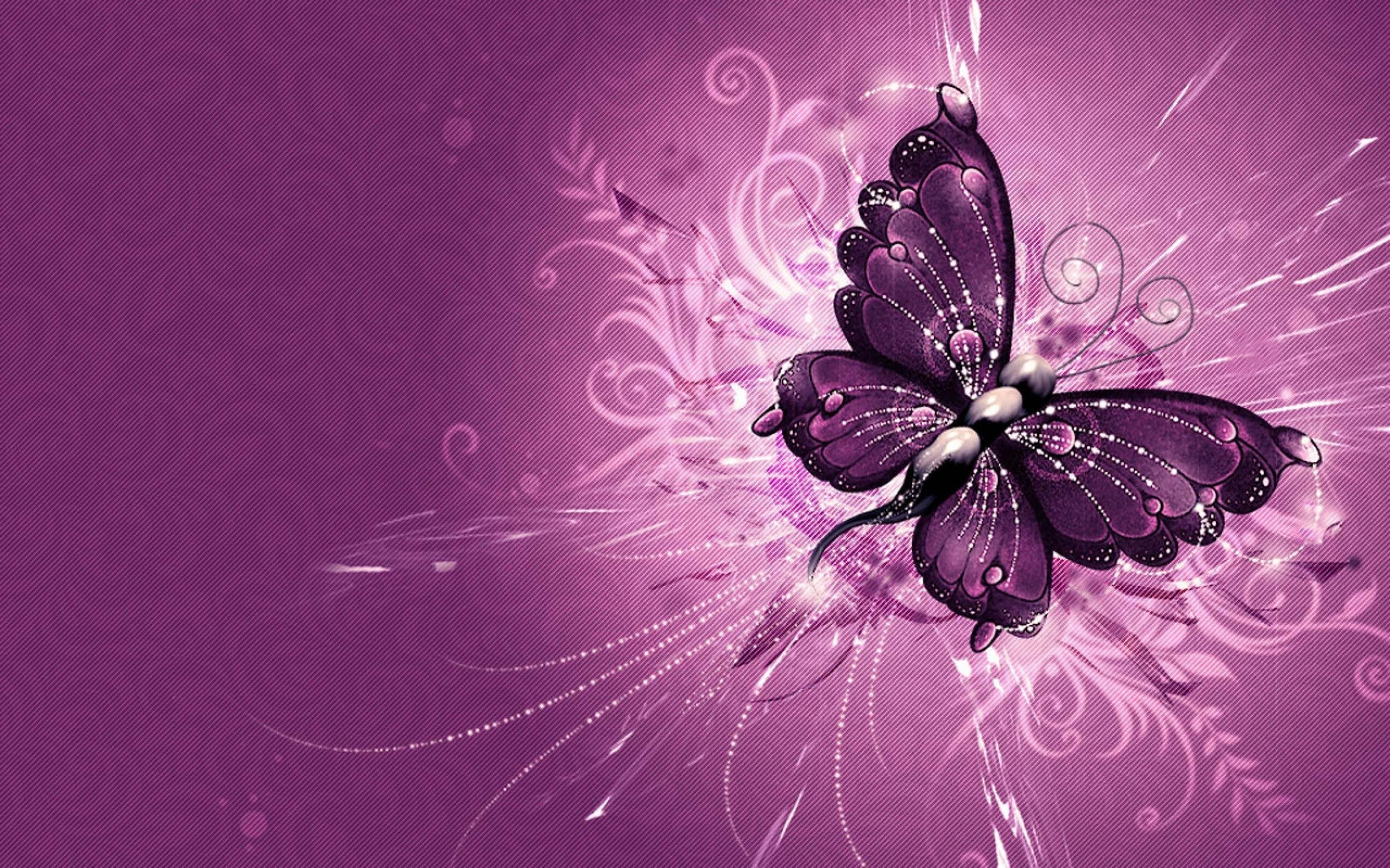 Light Purple Butterfly Wallpapers