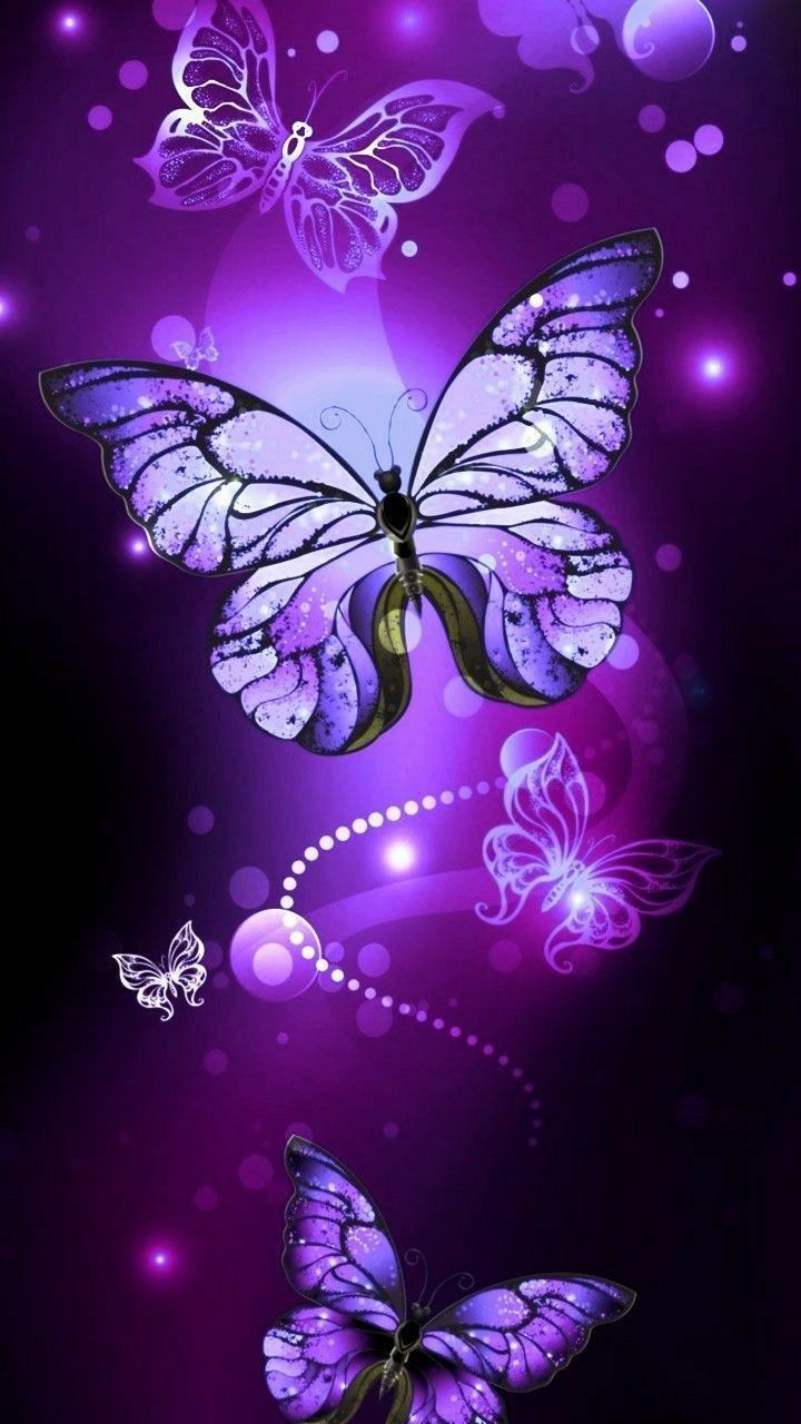 Light Purple Butterfly Wallpapers