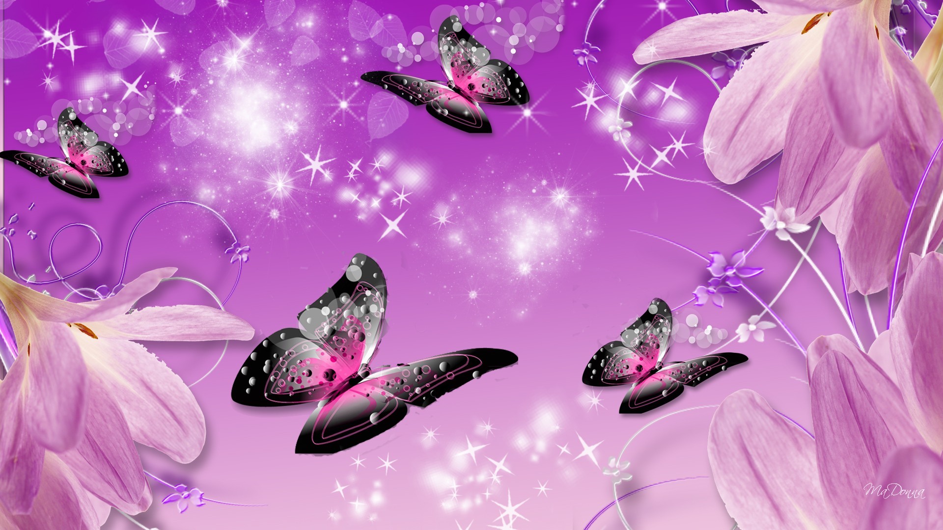 Light Purple Butterfly Wallpapers