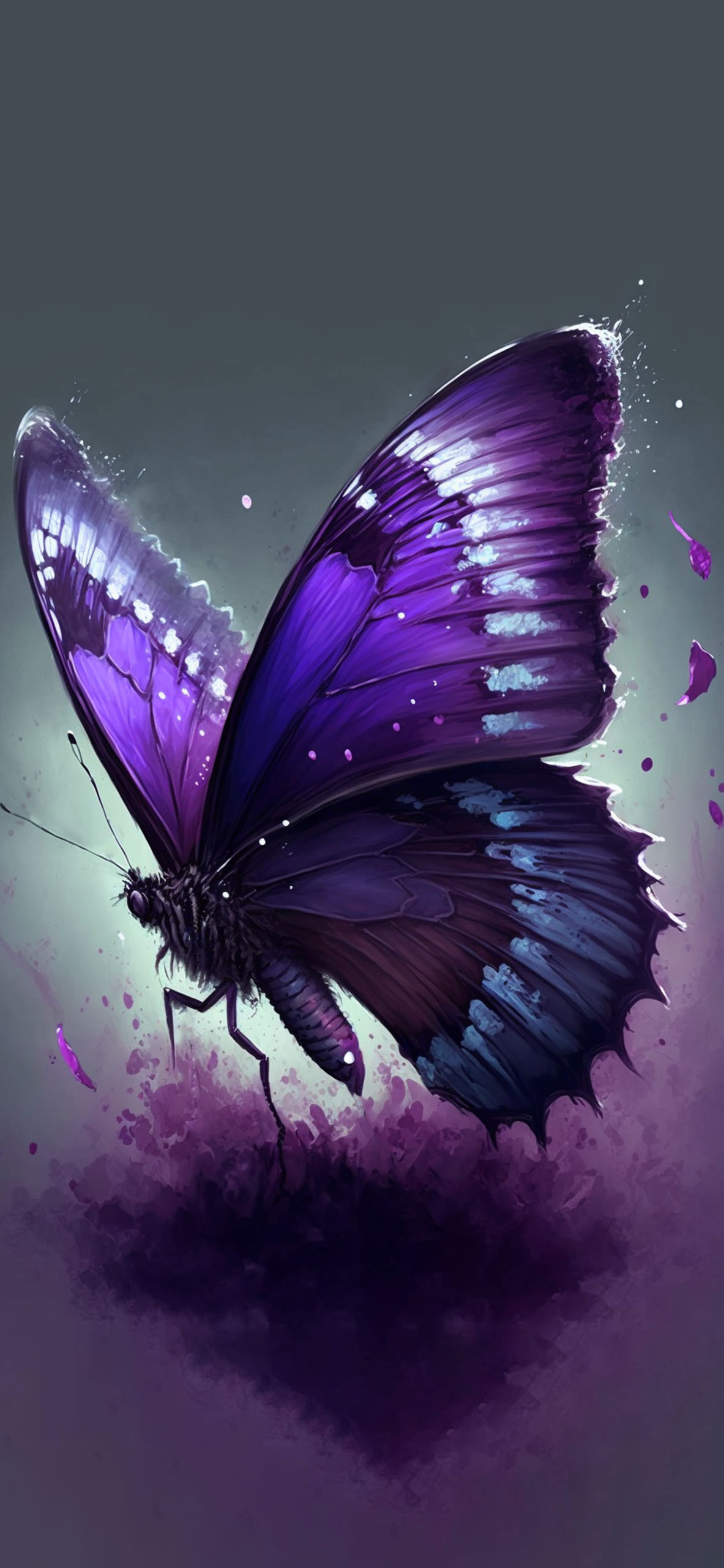 Light Purple Butterfly Wallpapers