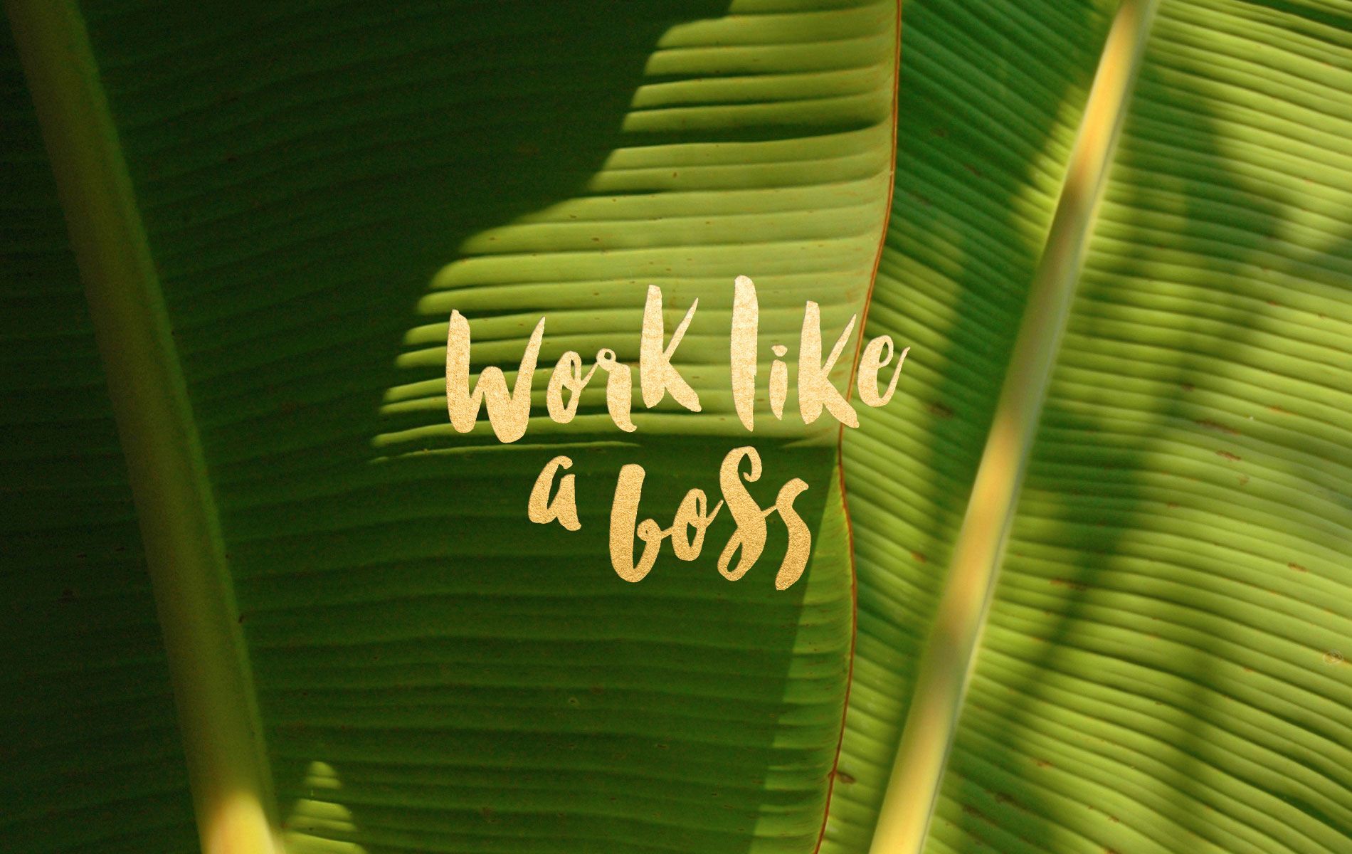 Like A Boss Movie 2020 Wallpapers