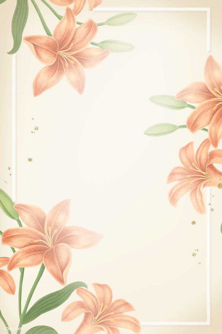 Lilies Backgrounds