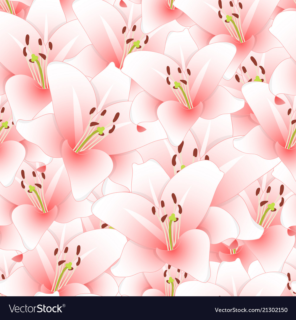 Lilies Backgrounds