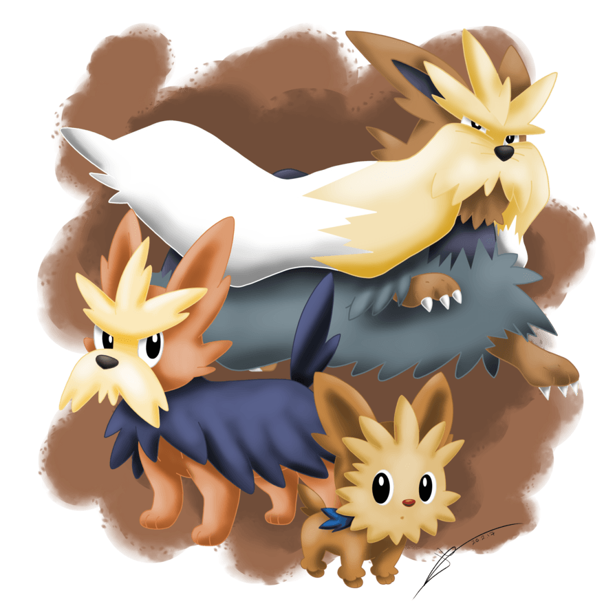 Lillipup Hd Wallpapers