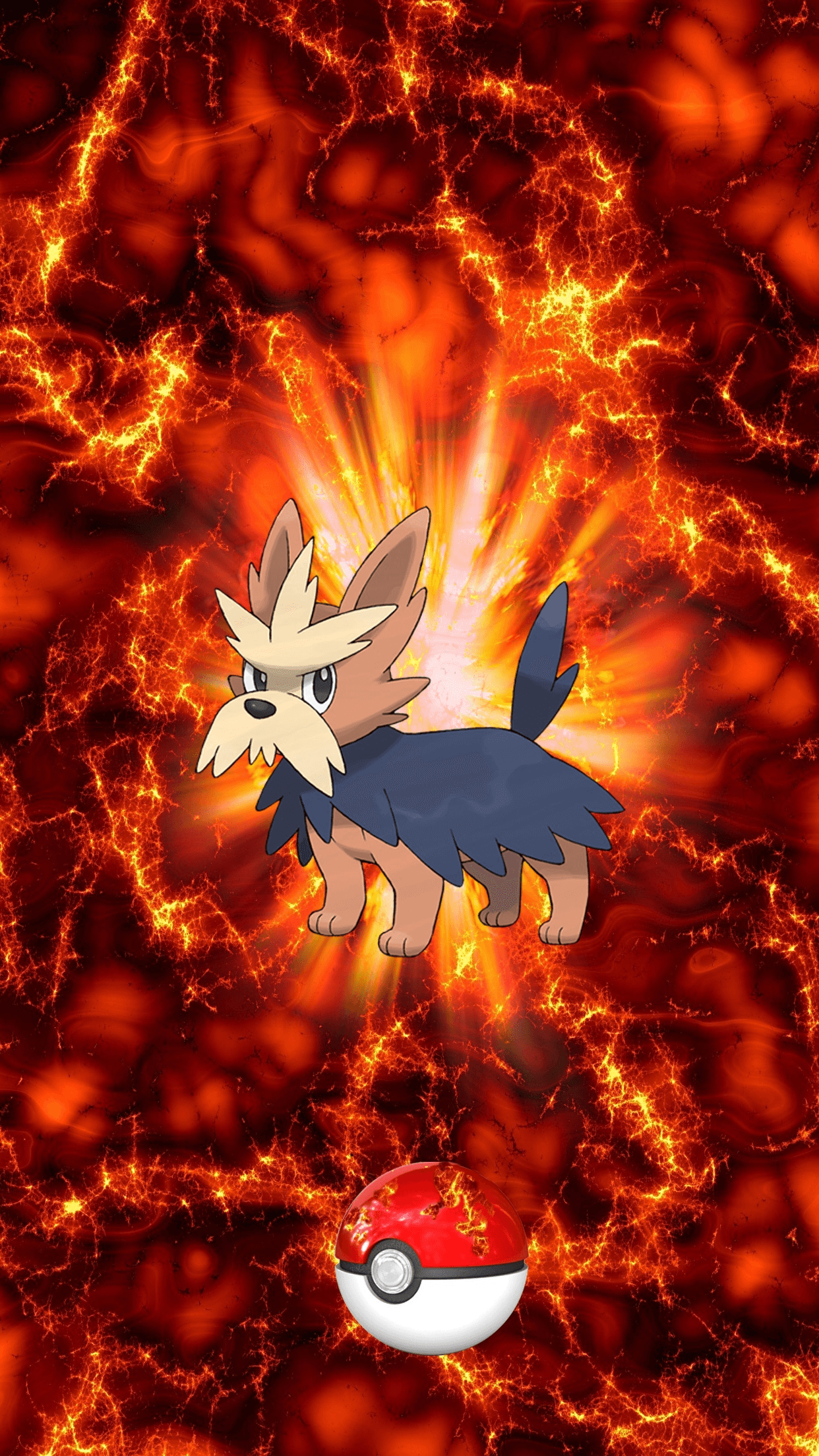 Lillipup Hd Wallpapers