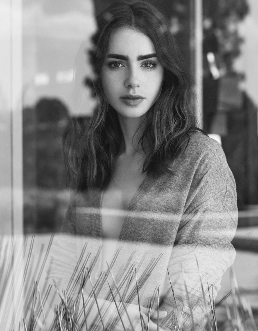 Lily Collins Gorgeous Wallpapers