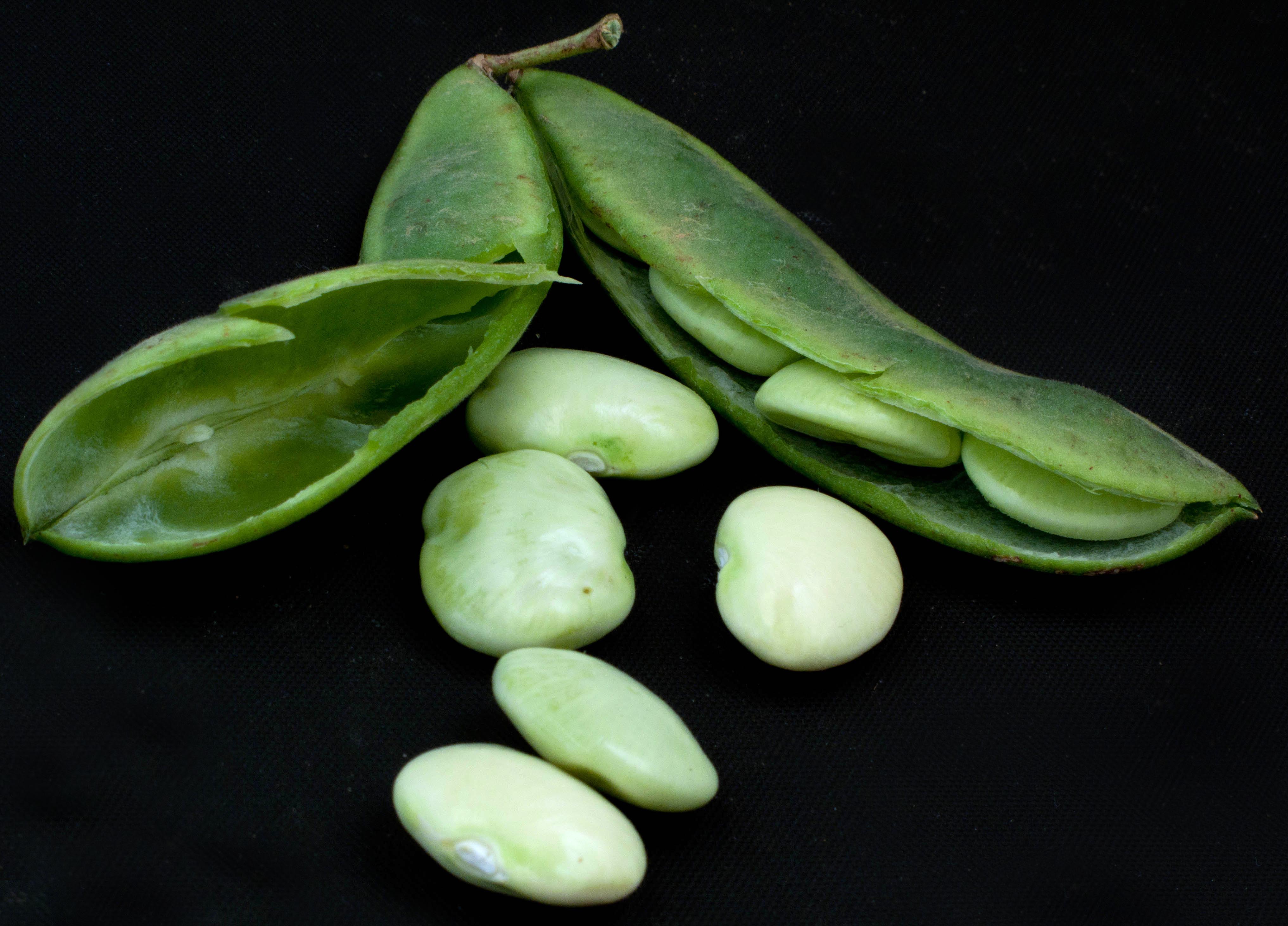 Lima Beans Wallpapers