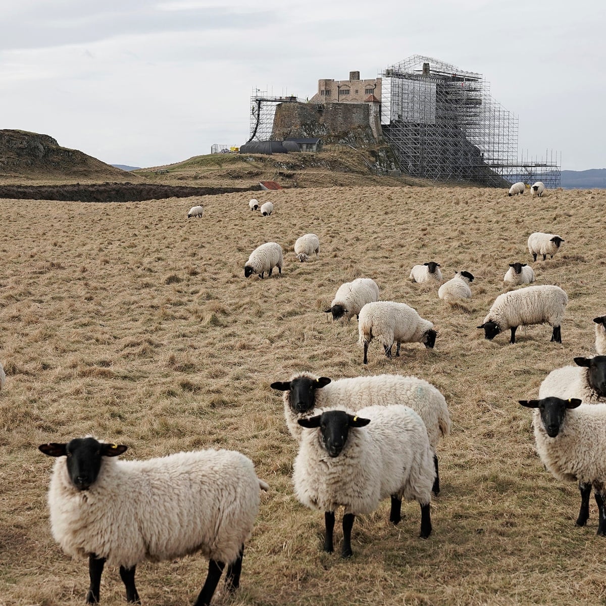 Lindisfarne Castle Wallpapers