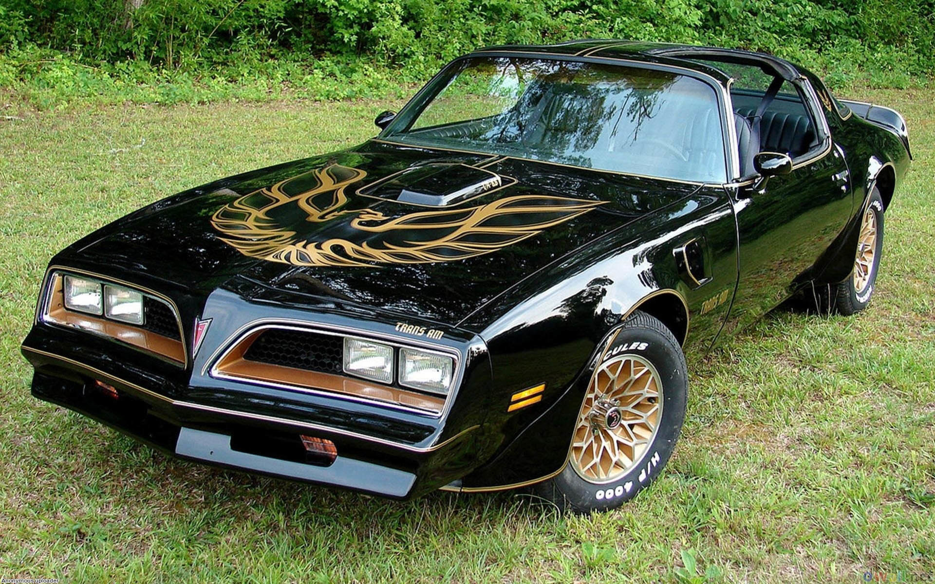 Lingenfelter Pontiac Trans Am Wallpapers