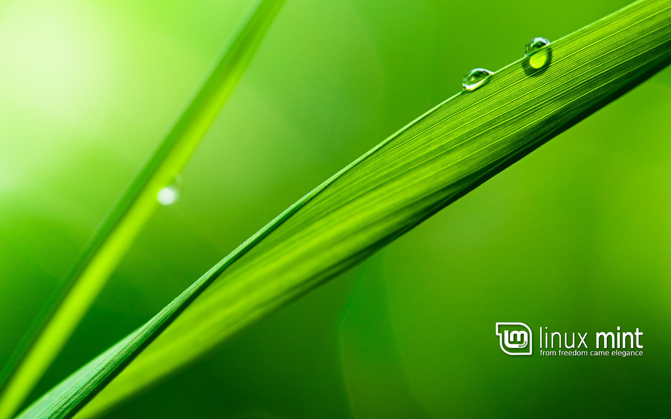 Linux Mint Wallpapers