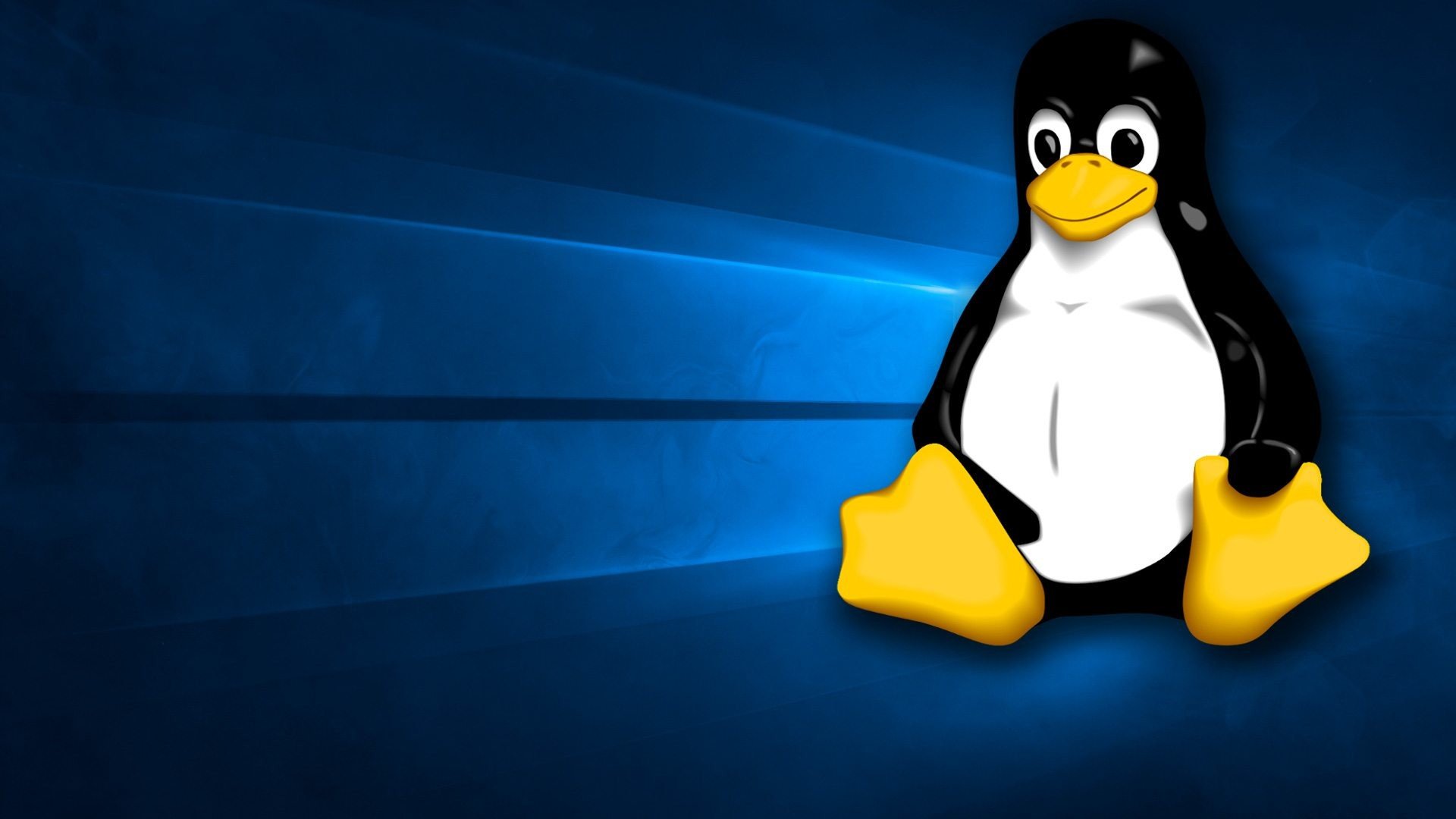 Linux Penguin Wallpapers