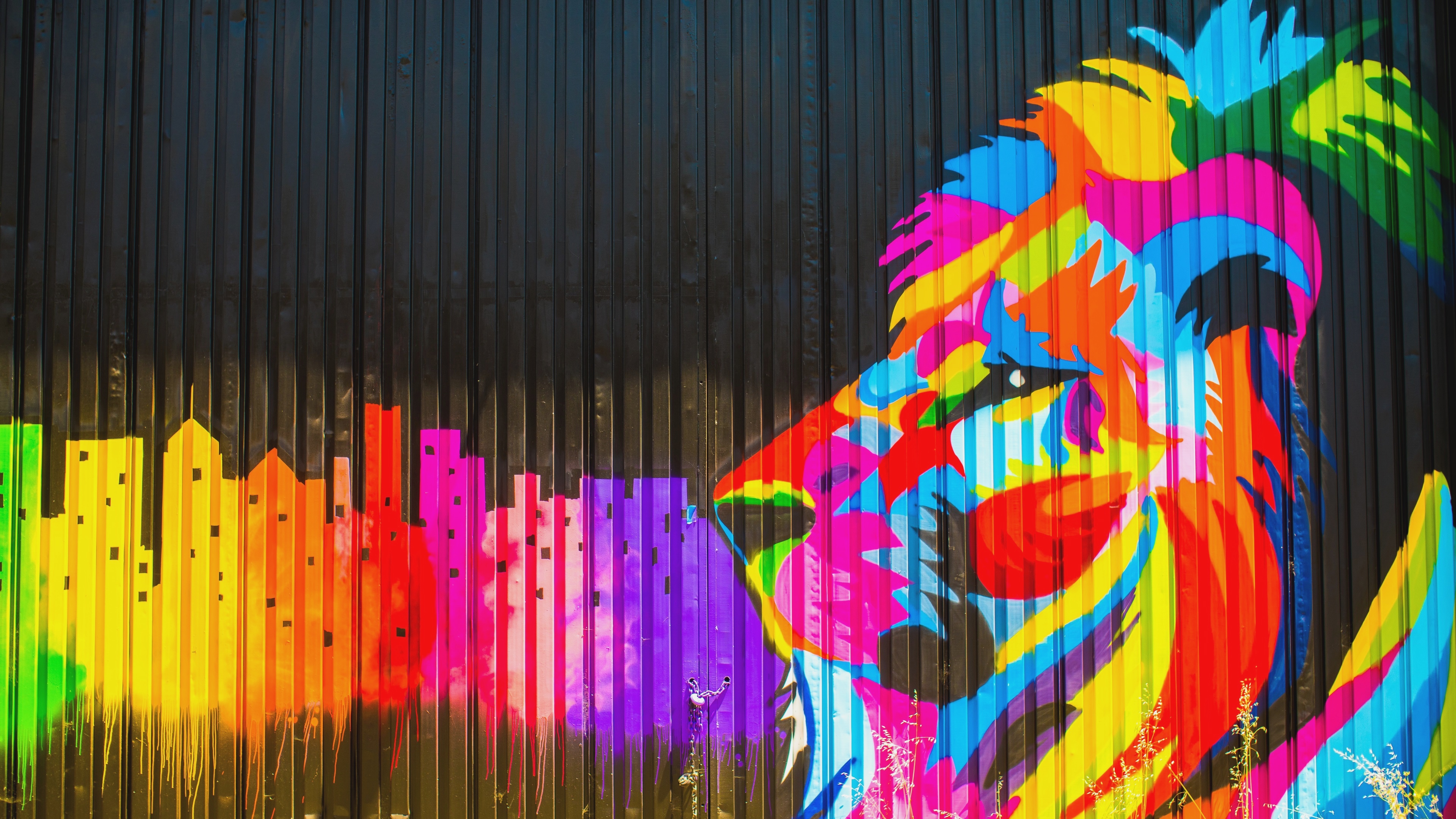 Lion Artistic Colorful Wallpapers