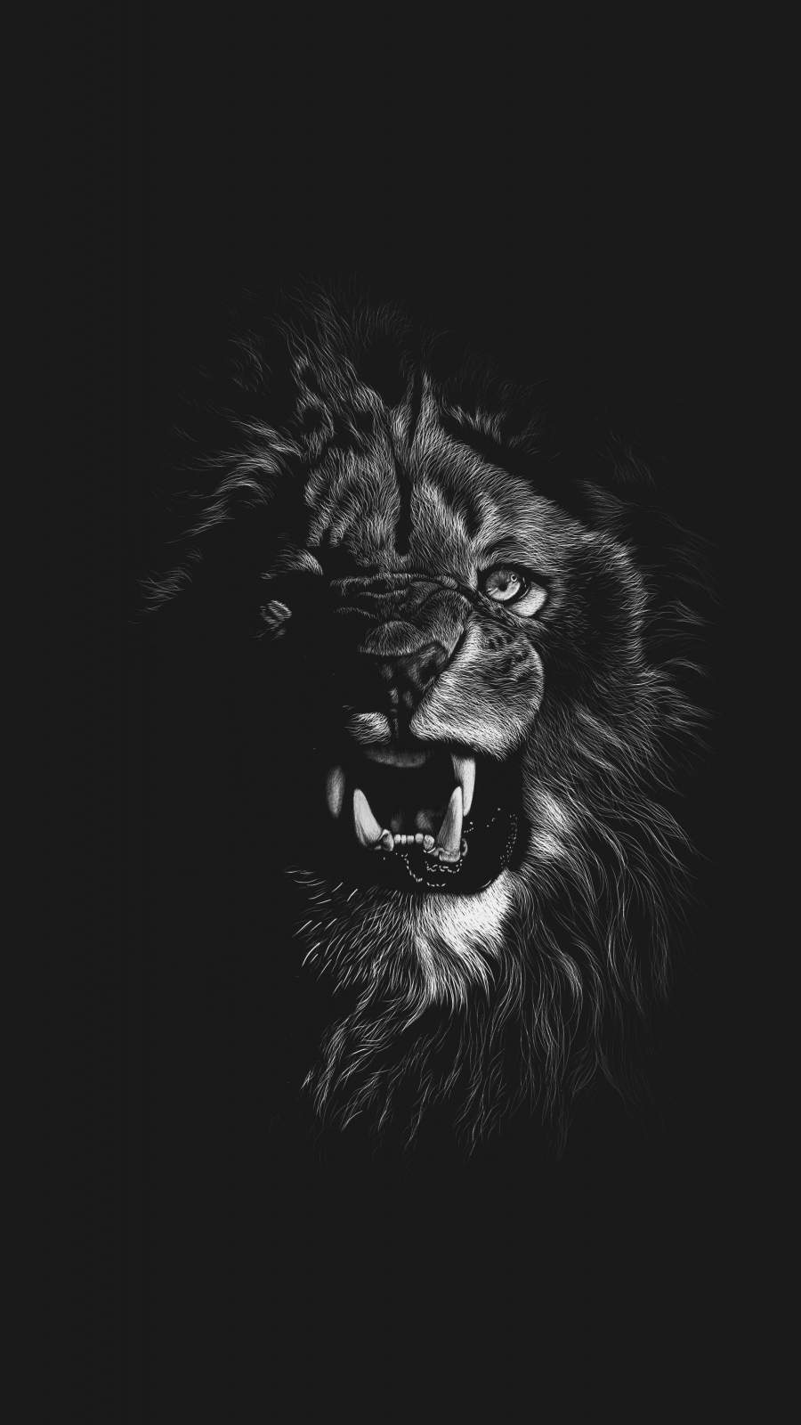 Lion Background Iphone