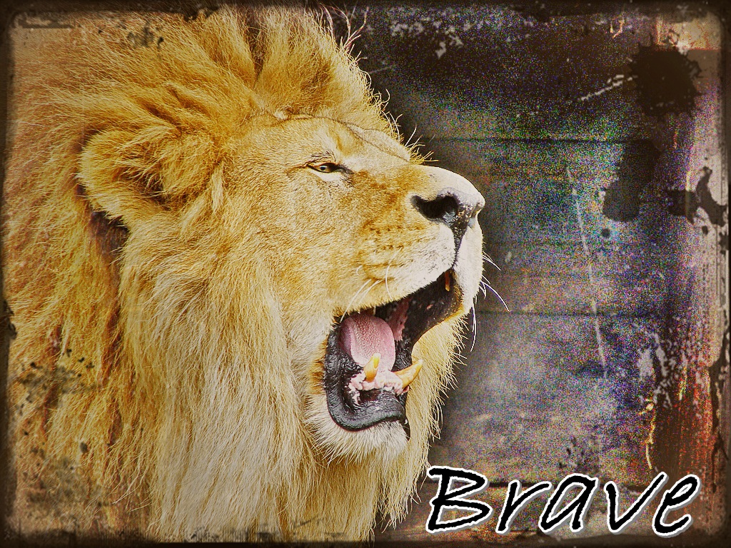 Lion Brave Wallpapers