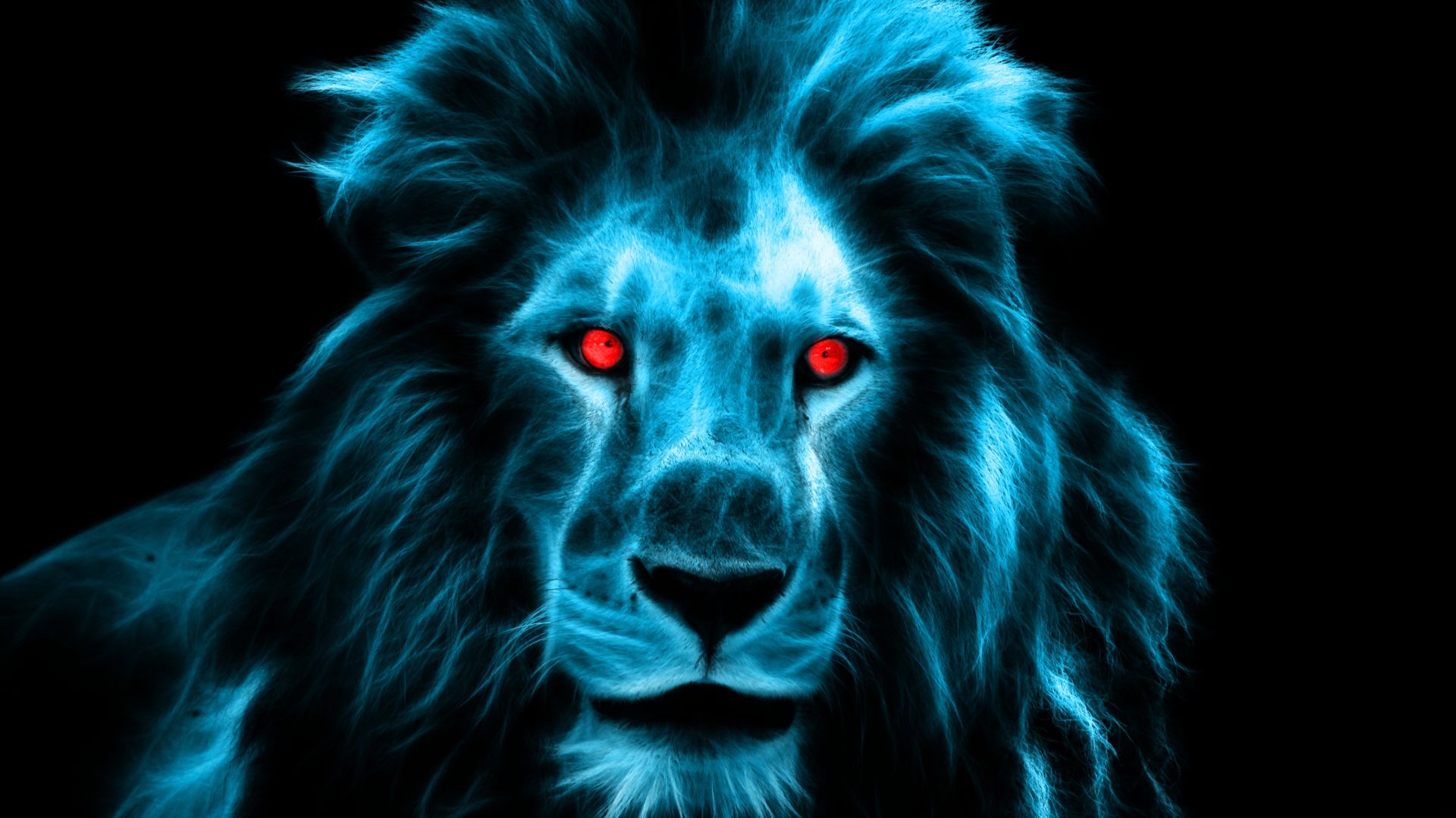 Lion Eyes Wallpapers