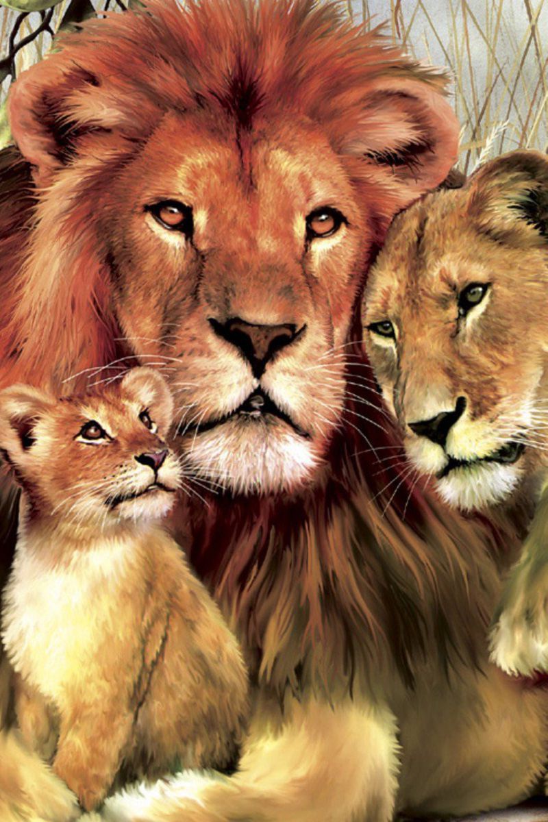 Lion Family Wallpapers