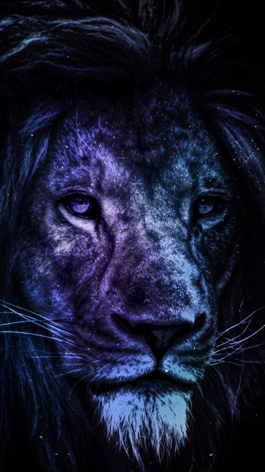 Lion Iphone Wallpapers