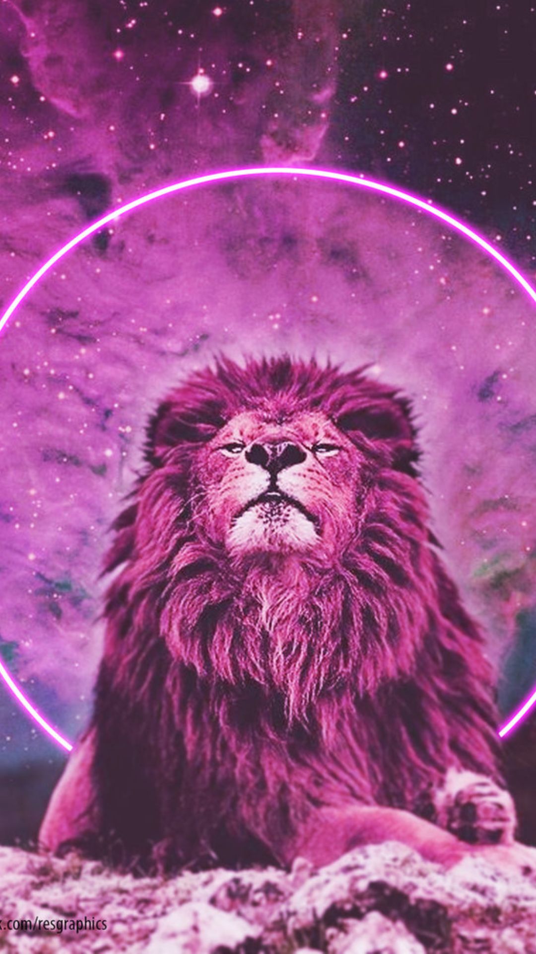 Lion Iphone Wallpapers