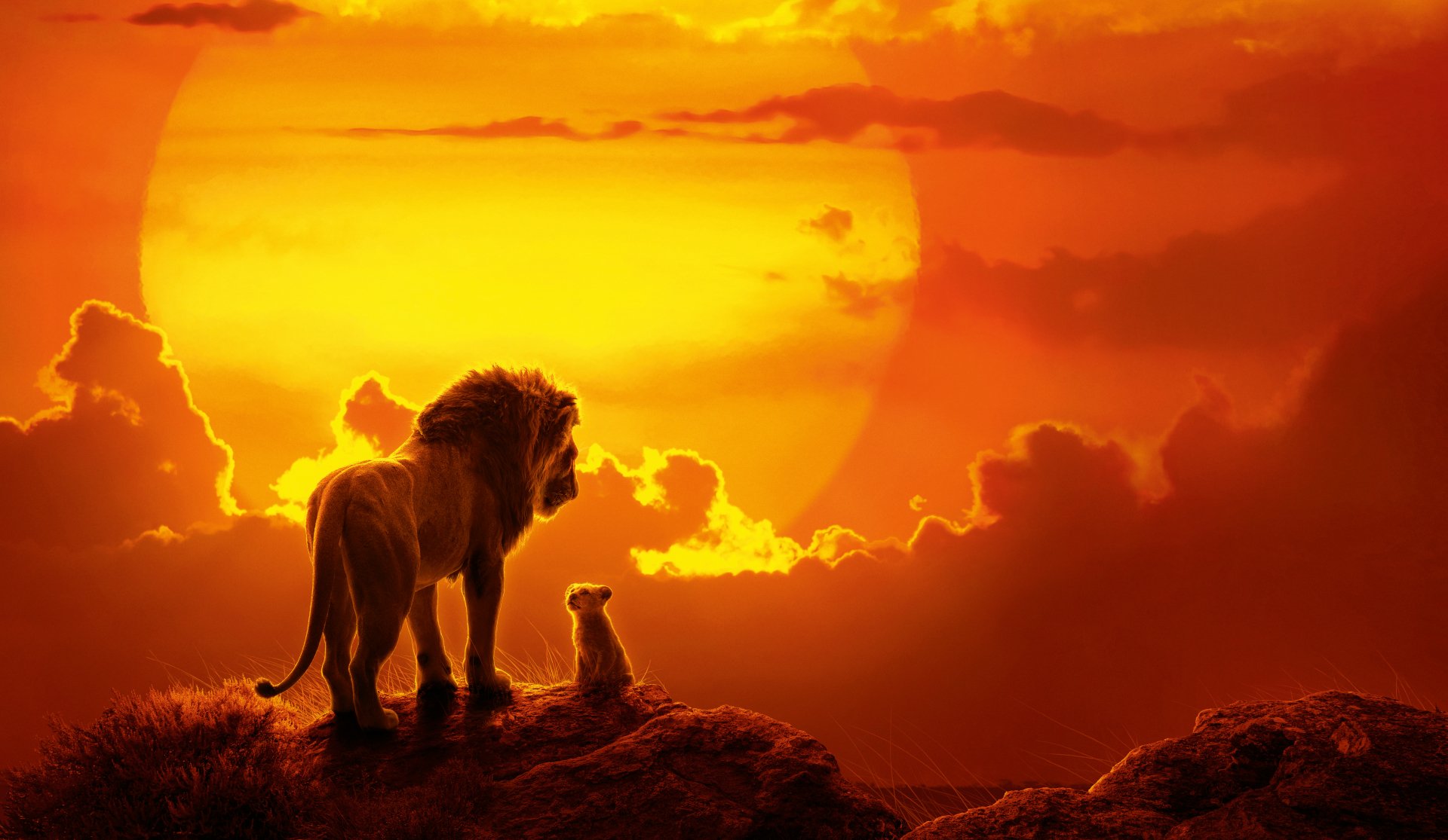 Lion King 2019 Wallpapers