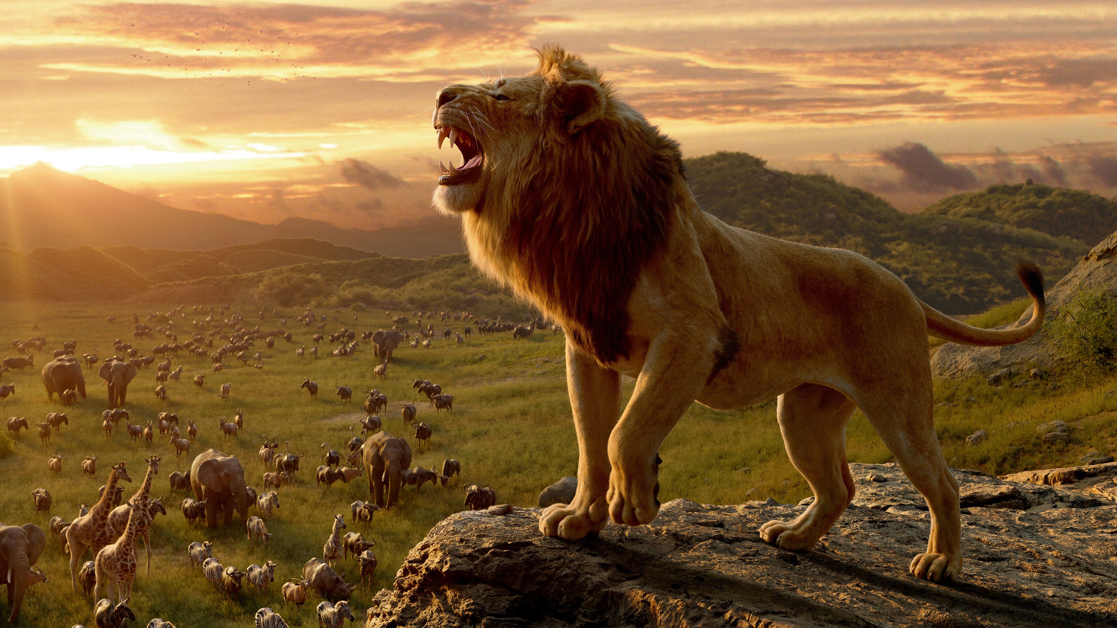 Lion King 2019 Wallpapers