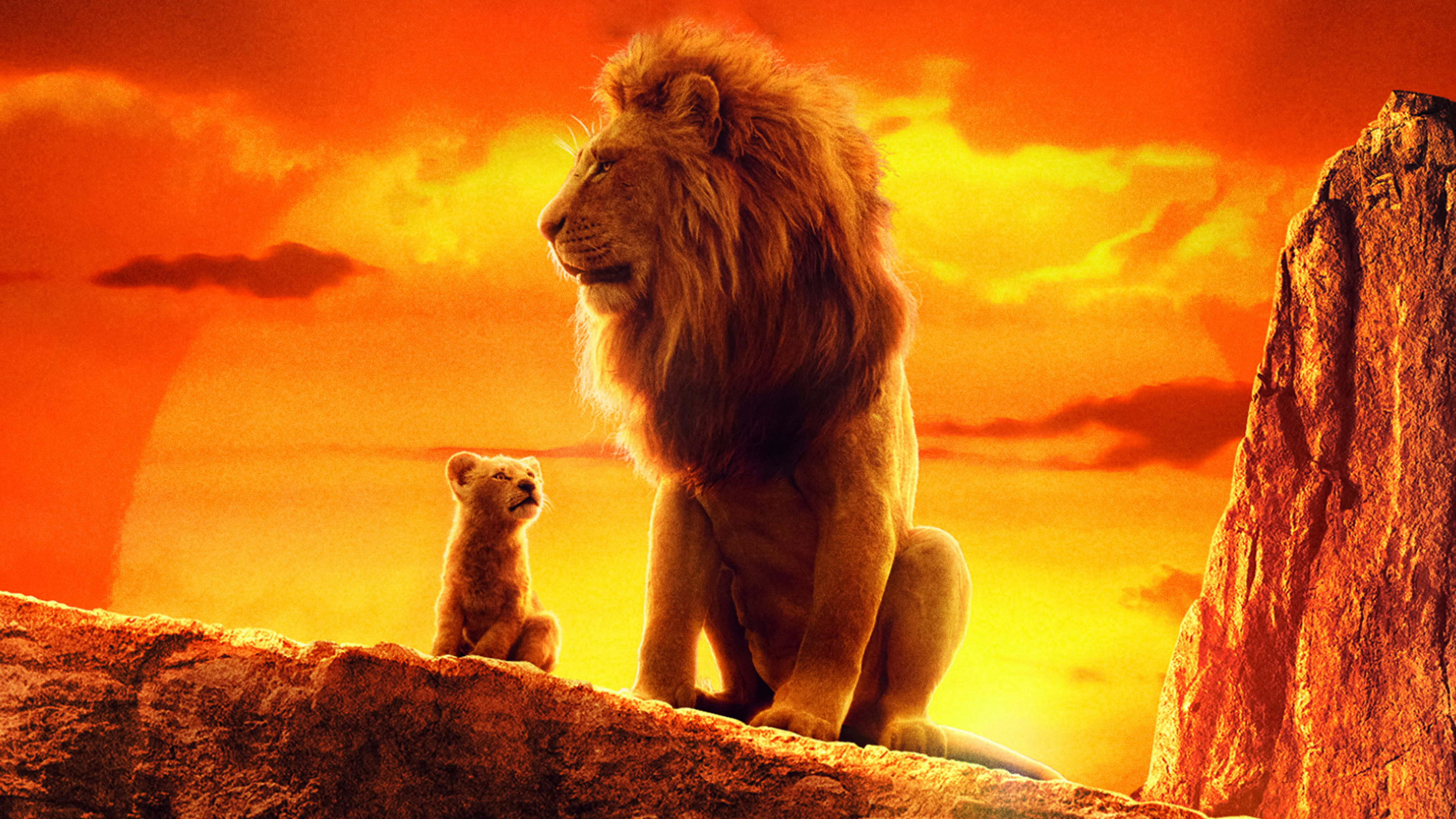 Lion King 2019 Wallpapers