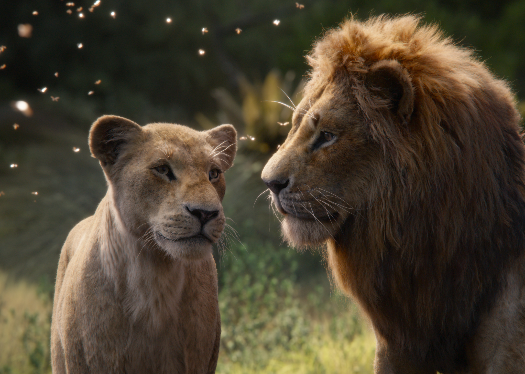 Lion King 2019 Wallpapers