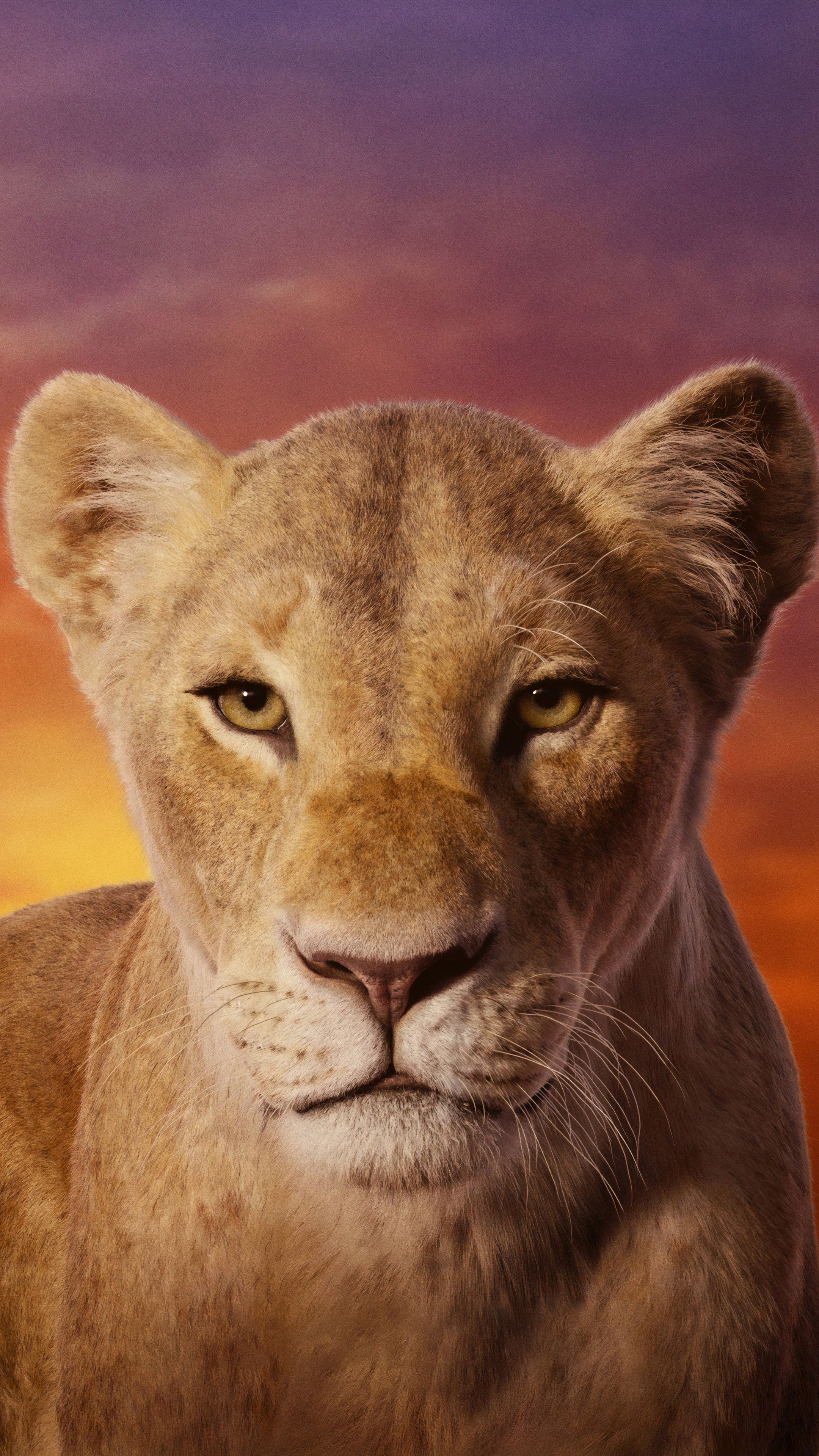 Lion King 2019 Wallpapers