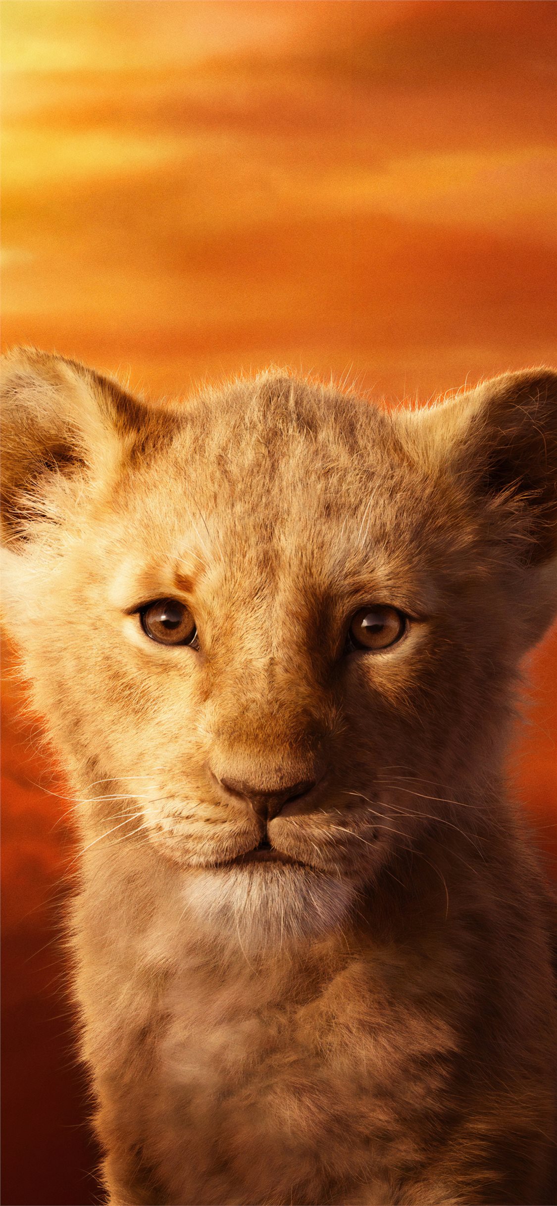 Lion King 2019 Wallpapers