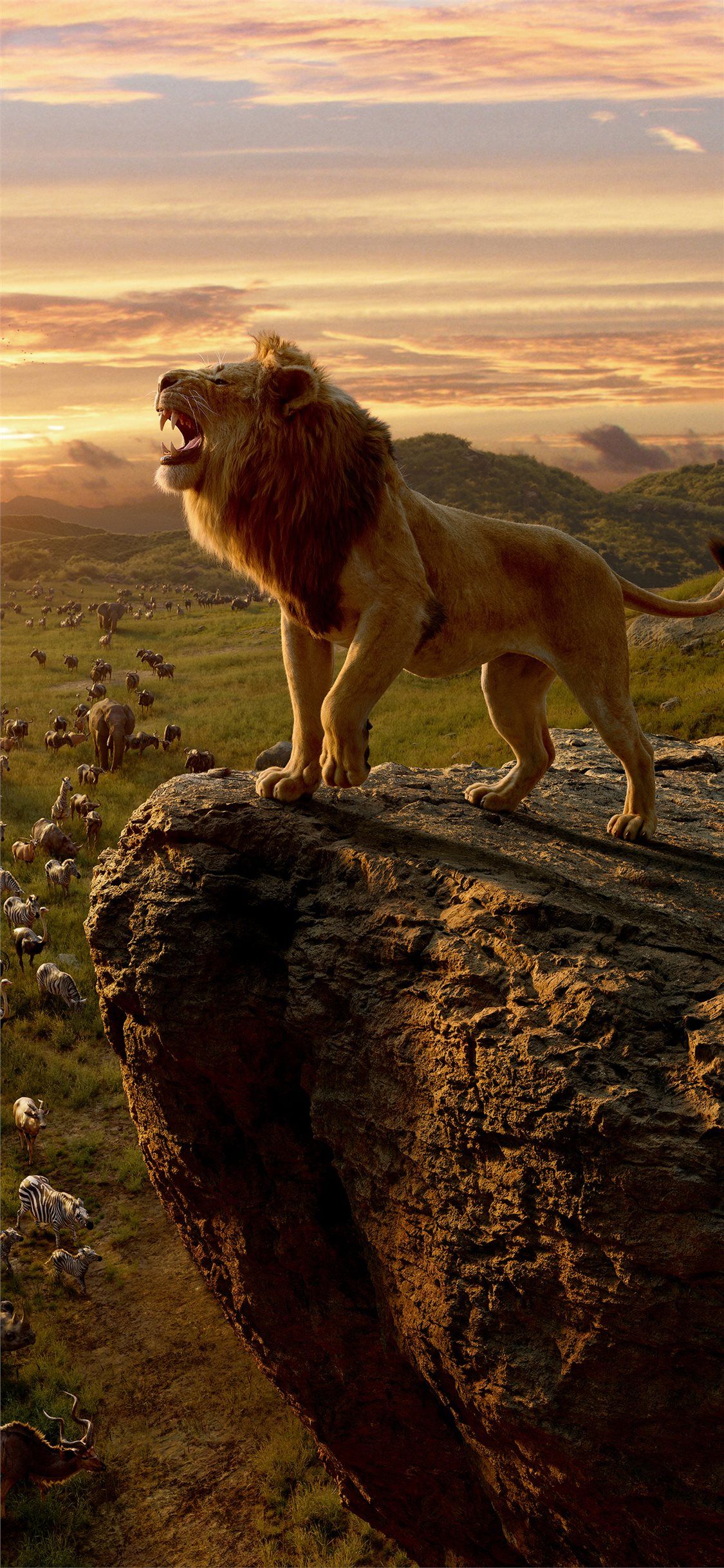 Lion King 2019 Wallpapers