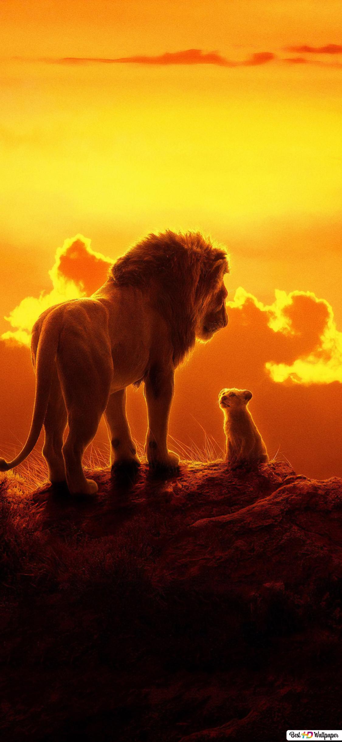 Lion King 2019 Wallpapers