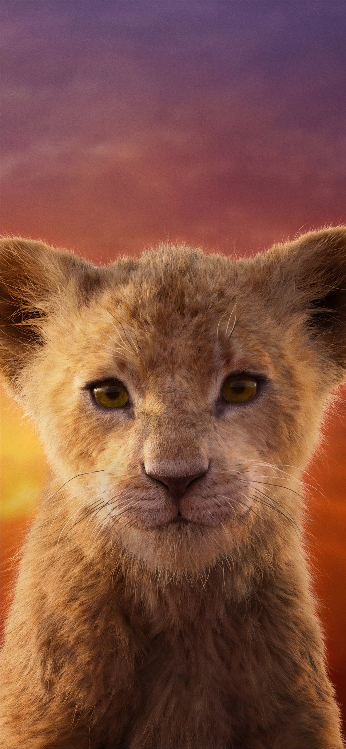 Lion King 2019 Wallpapers