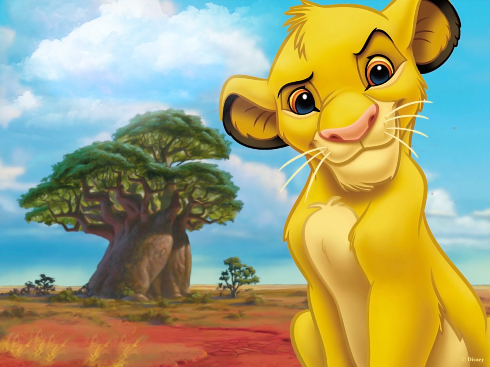 Lion King Cartoons Wallpapers