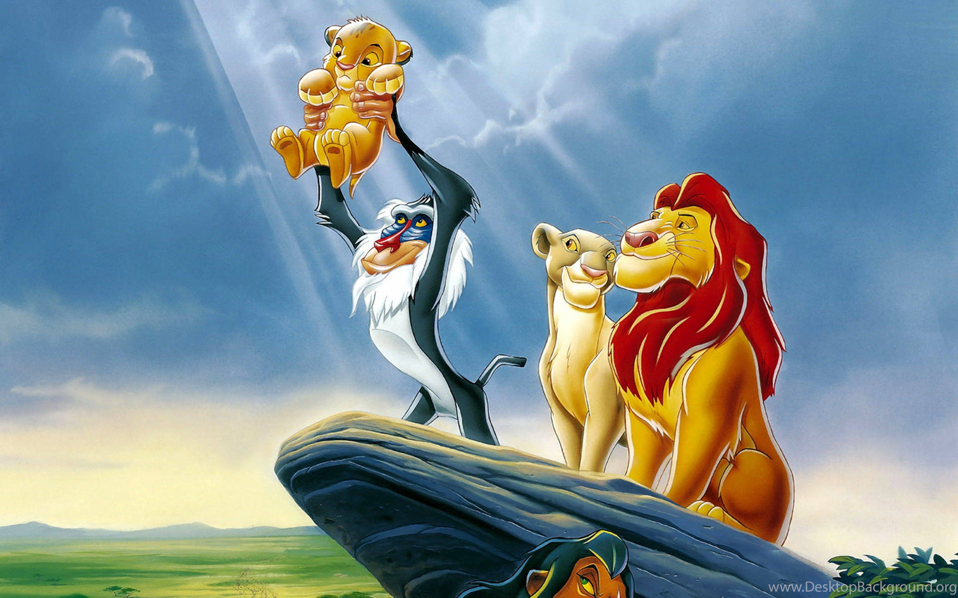 Lion King Cartoons Wallpapers