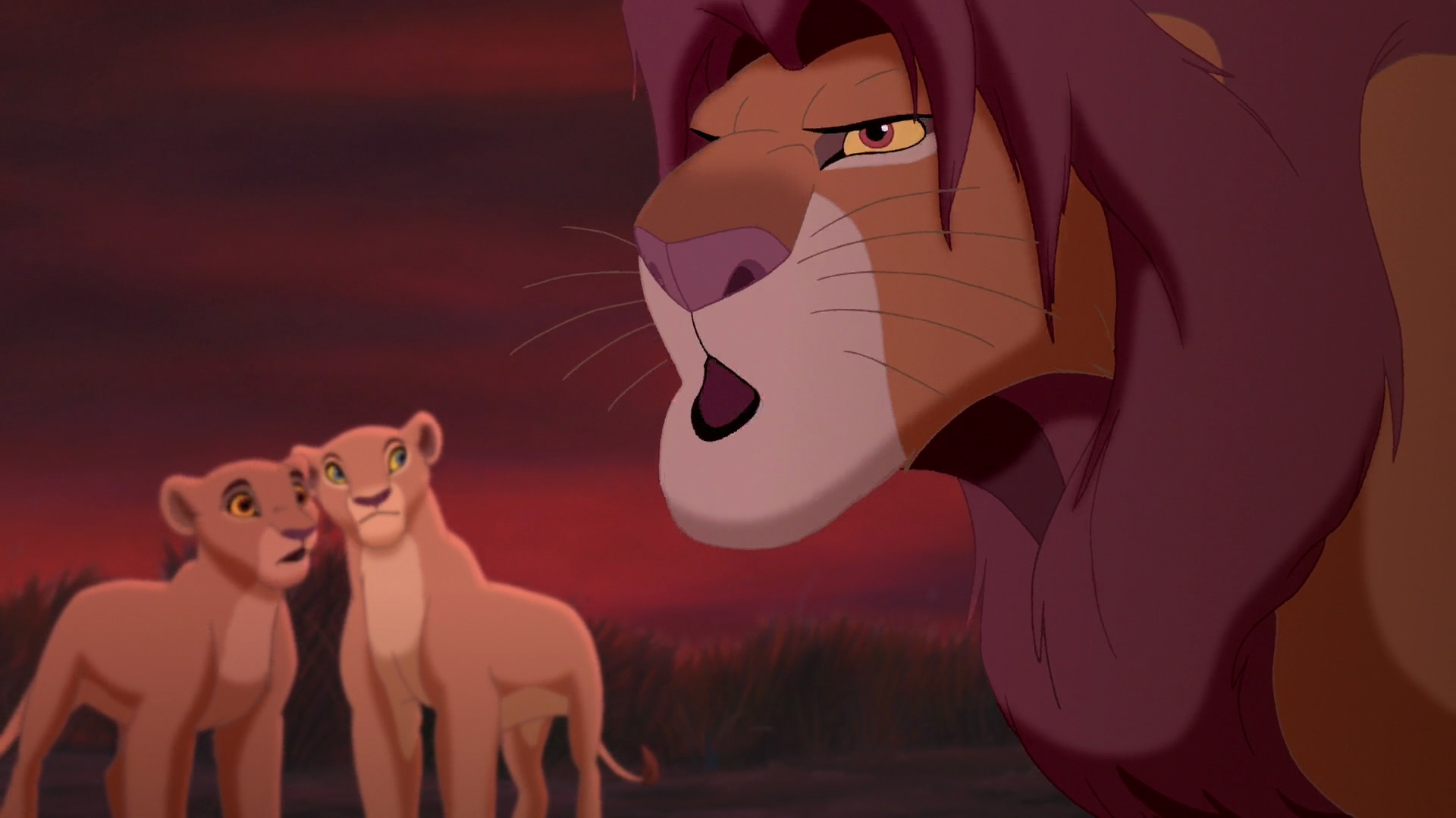 Lion King Hd Screencaps Wallpapers