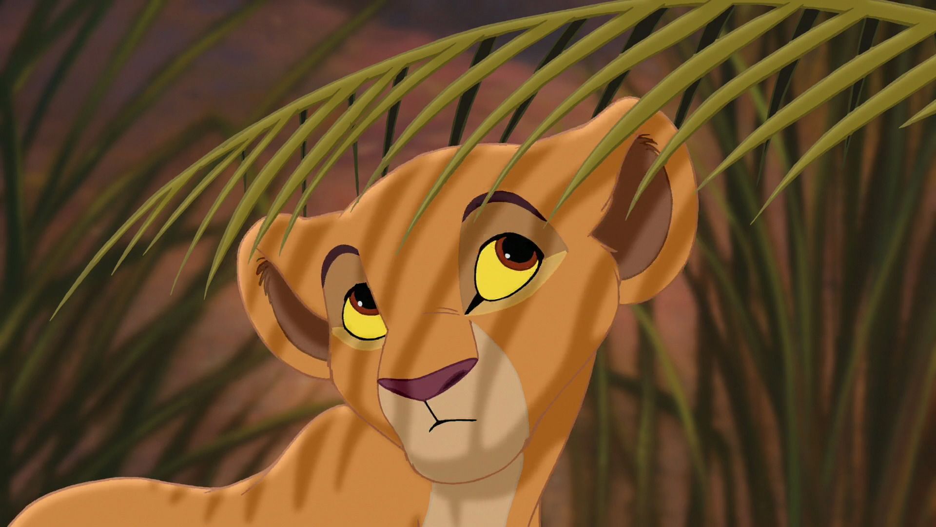 Lion King Hd Screencaps Wallpapers