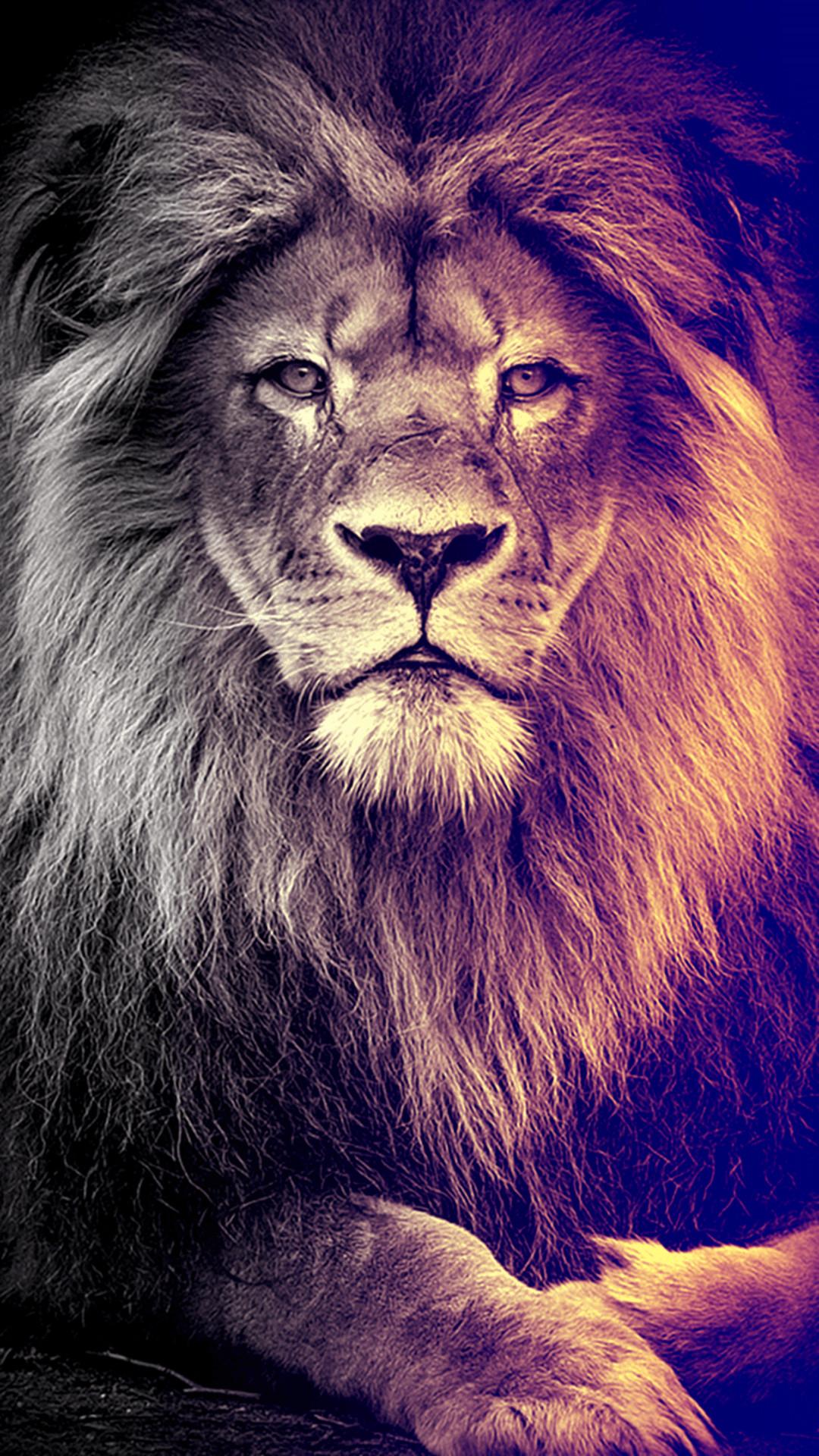 Lion King Iphone Wallpapers