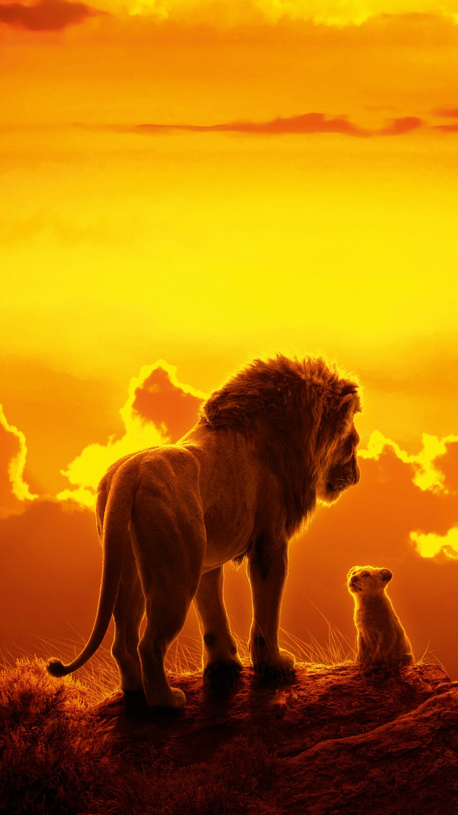 Lion King Iphone Wallpapers